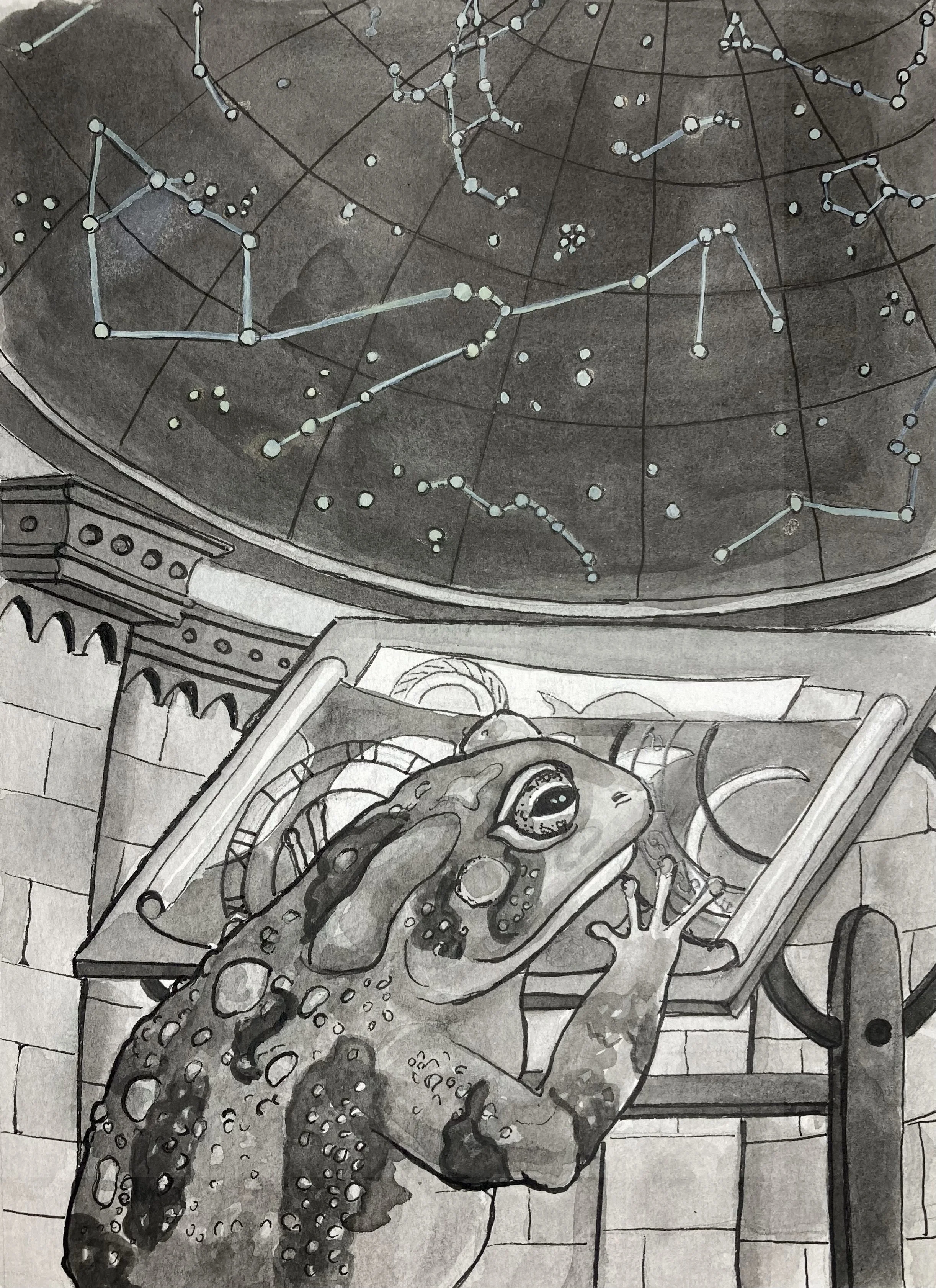Drawtober 2025: Toad Astrologer
