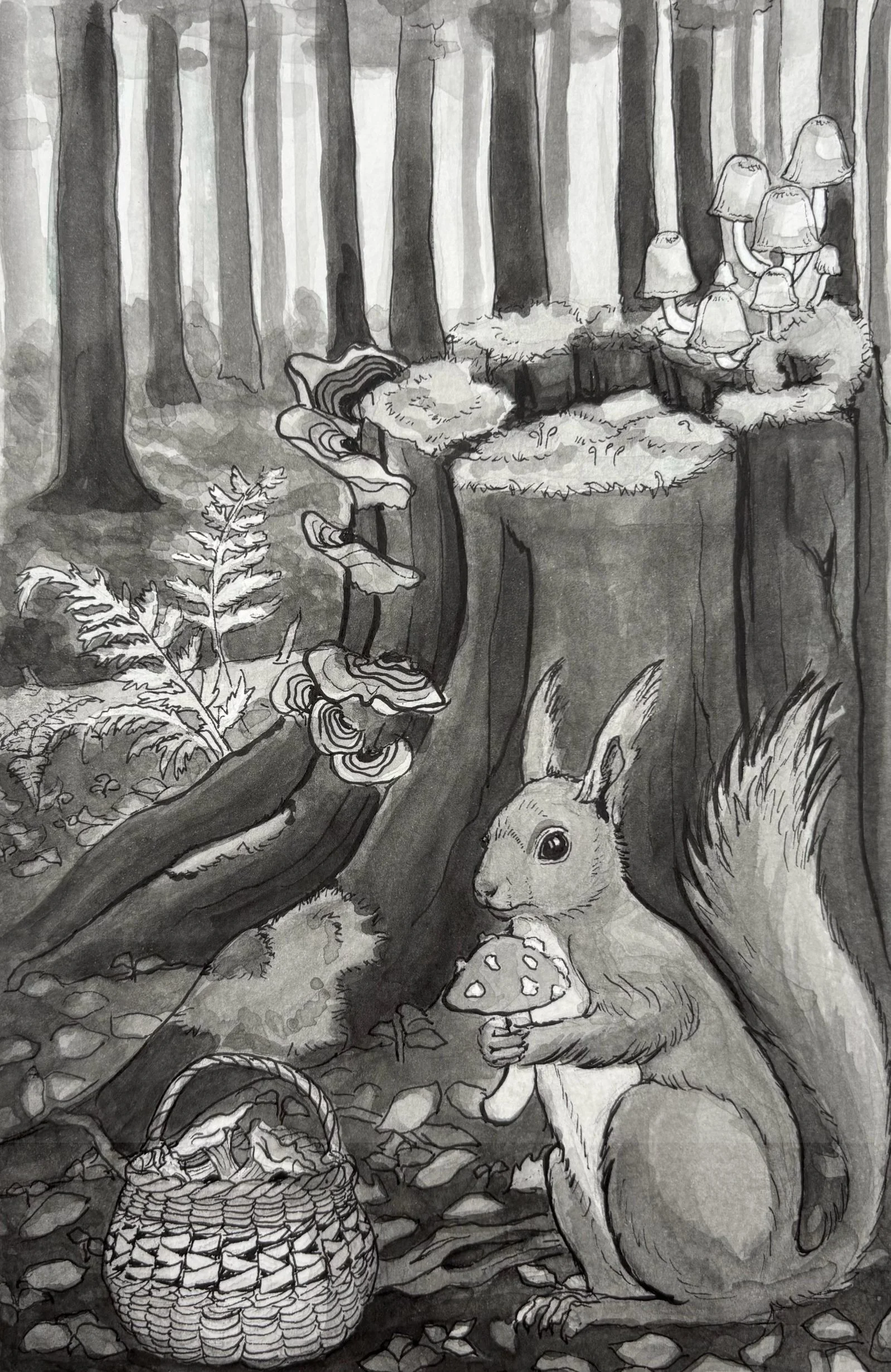 Pen and ink drawing of a red squirrel in front of a rotten stump. The squirrel holds a mushroom in its paws.