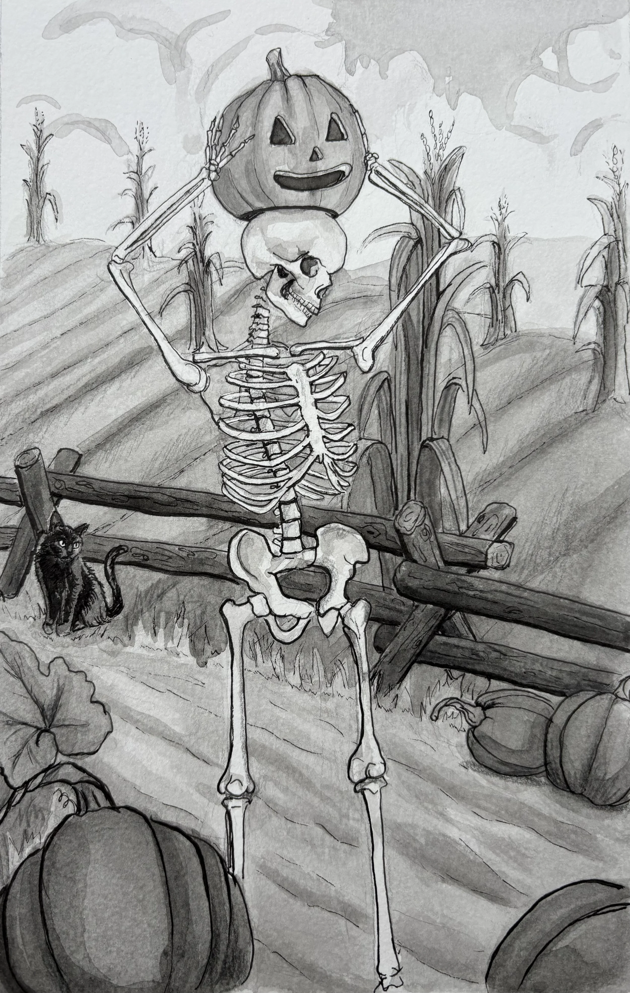 Pen and ink drawing of a skeleton fitting a jack-o-lantern over its head.