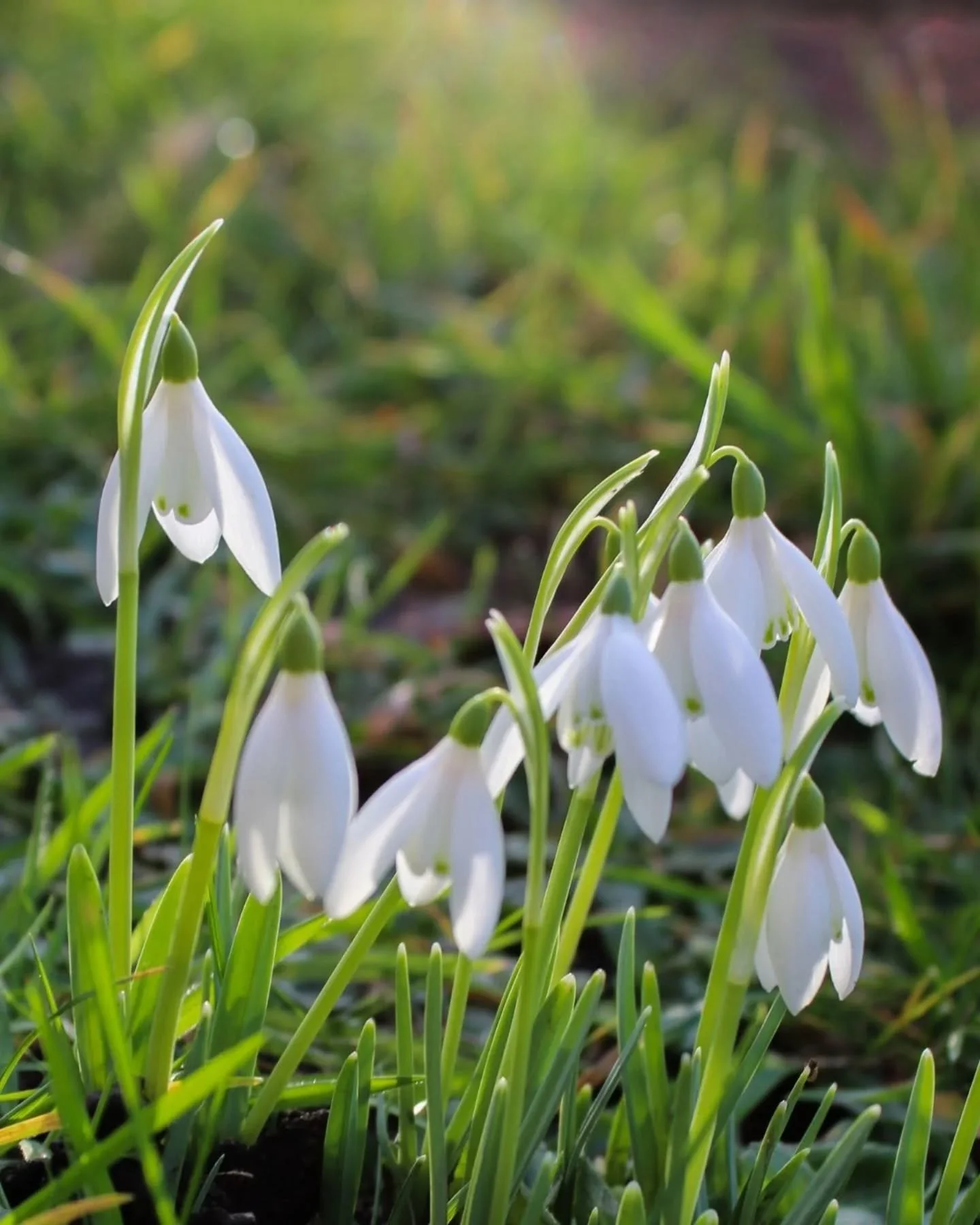 A really enjoyable photography course at @retfordartshub this weekend.

For a lot of the group, this was their first experience using a DSLR. Over three hours I went over ISO, aperture, shutter speed, depth of field and composition and the images are