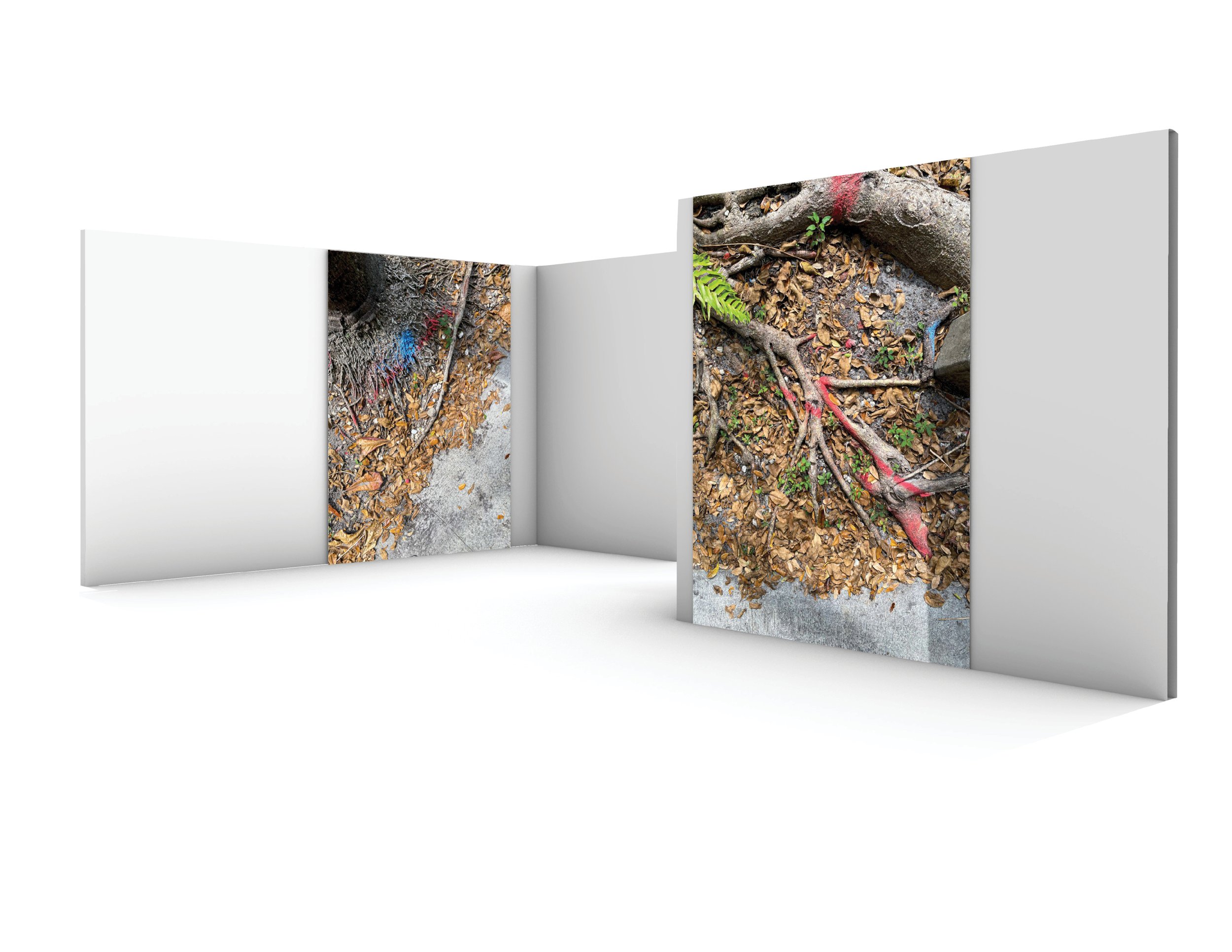 Image_Layout.jpg