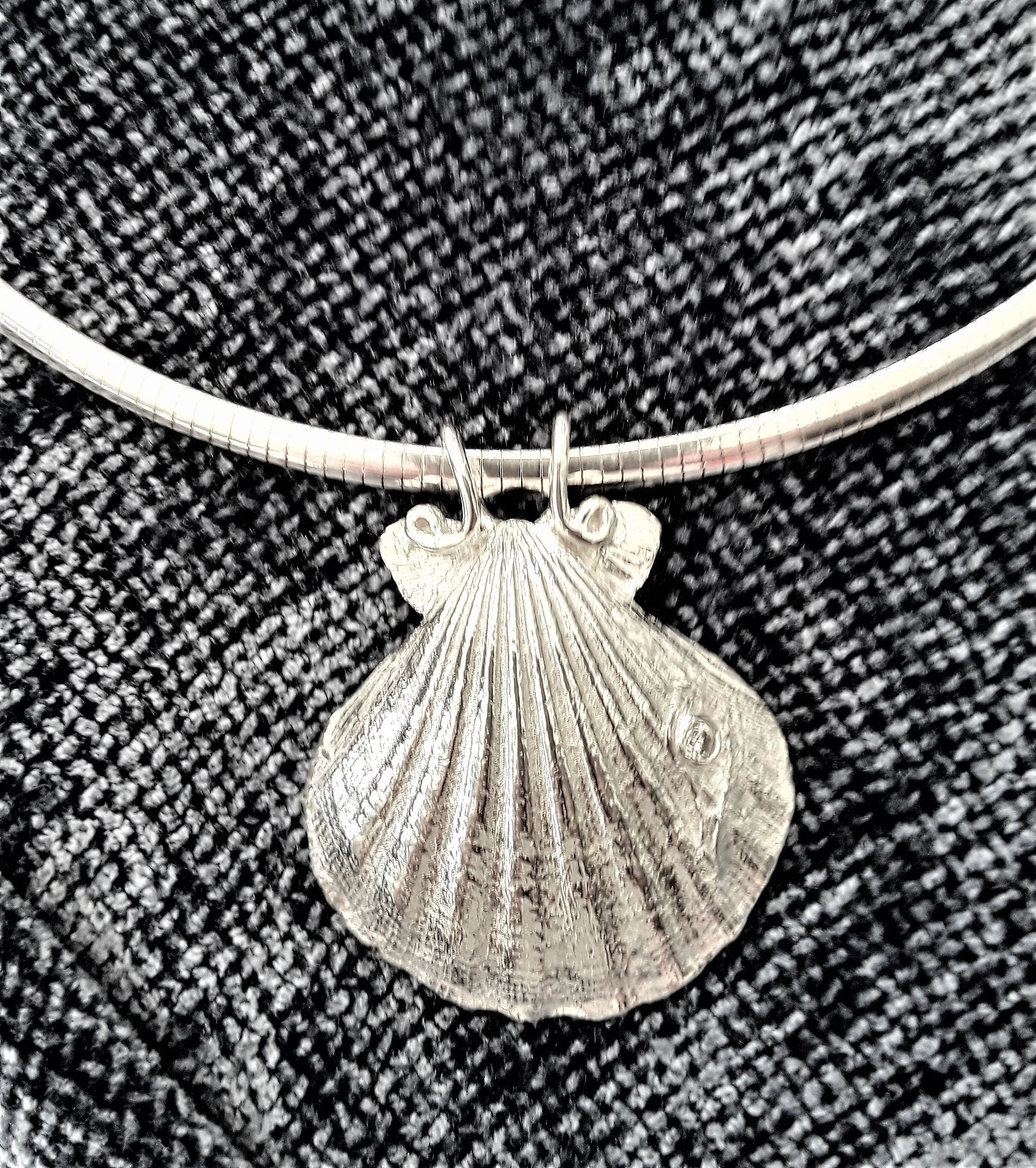 large shell on Omega.jpg