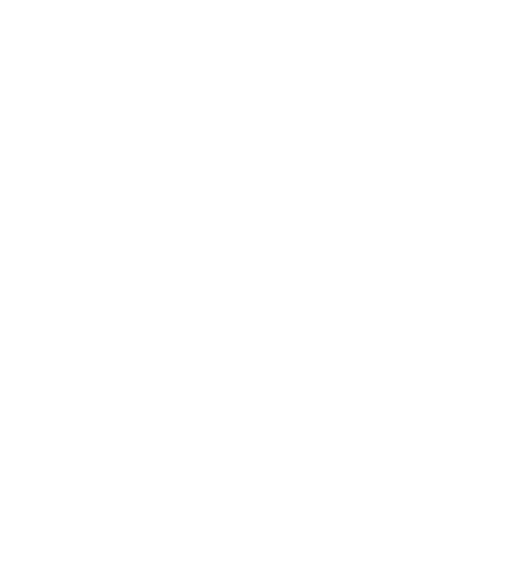 Novel Logo Bust White