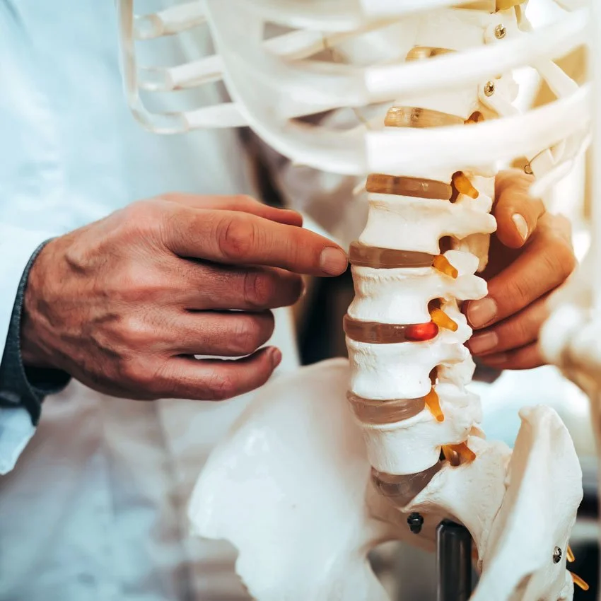 Looking for a Chiropractor in Prior Lake, MN? What to Know About Chiropractic Care