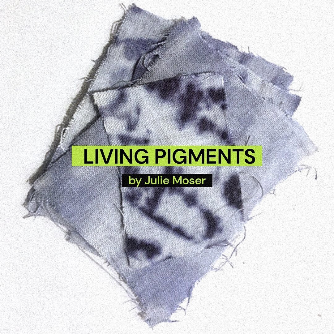 In Living Pigments, Julie Moser (@growingpatterns.livingpigments) showcases the potential of bacteria-based textile dyes, creating controlled pattern designs and offering a water-conserving alternative to traditional synthetic dyes.

Swipe to see a v