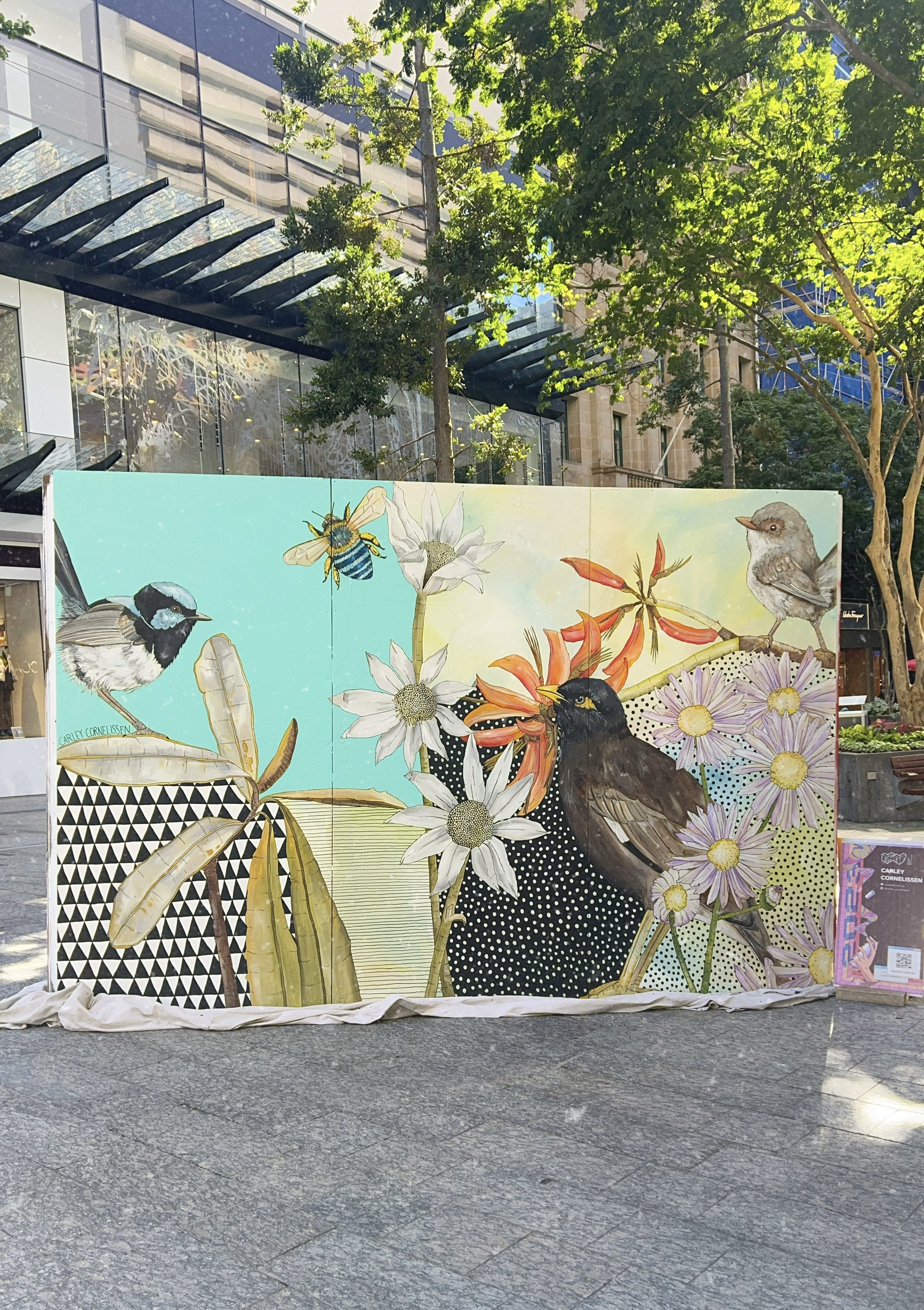 BSAF - Brisbane - 2023