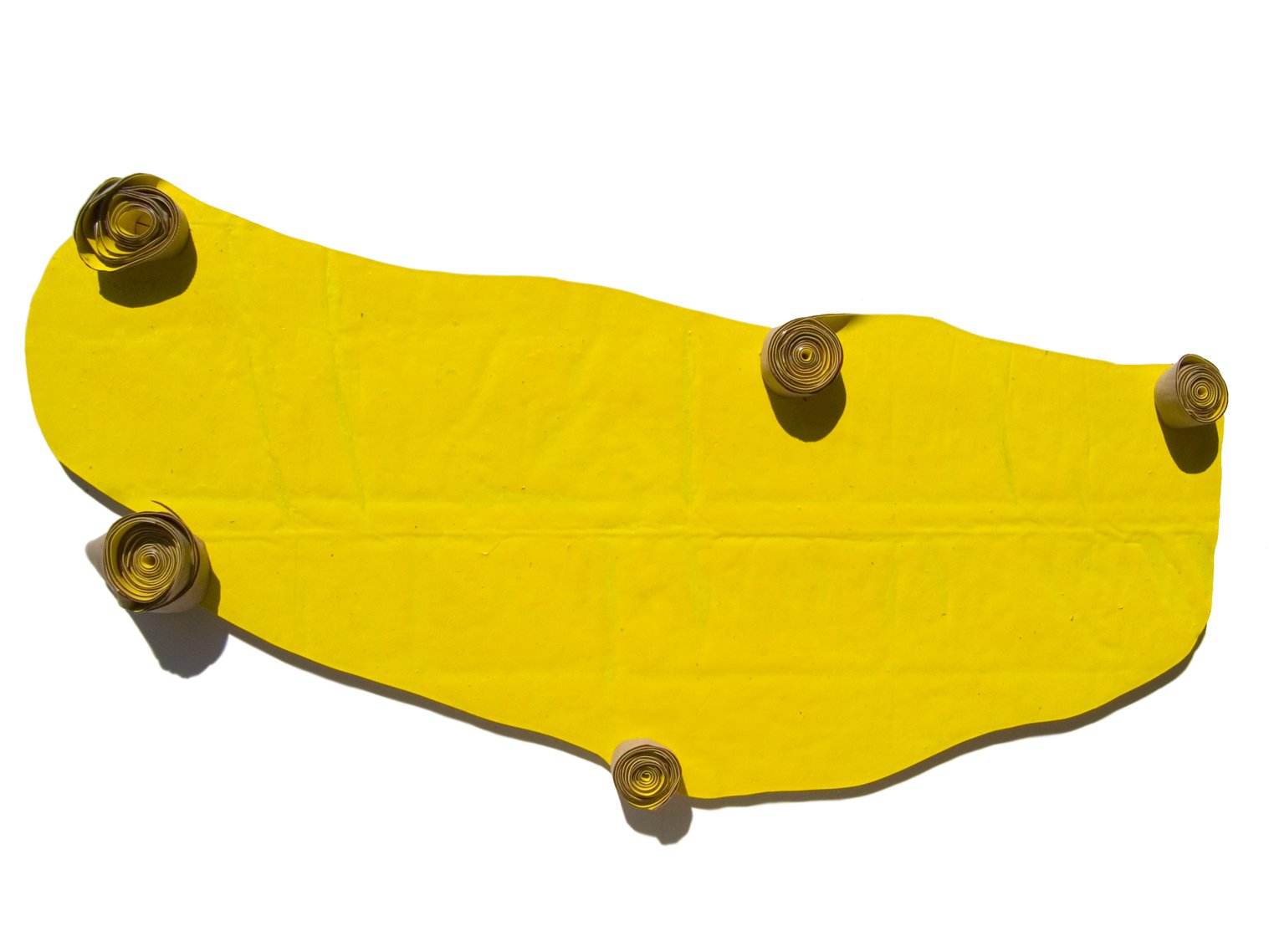 ELS CINC SENTITS, 2011 
Acrylic on canvas
275 x 115 x 14 cm