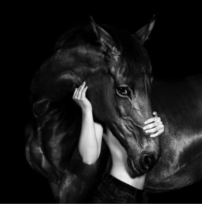 Coming soon l Fería de arte Capital, ARGENTINA, marzo 2026