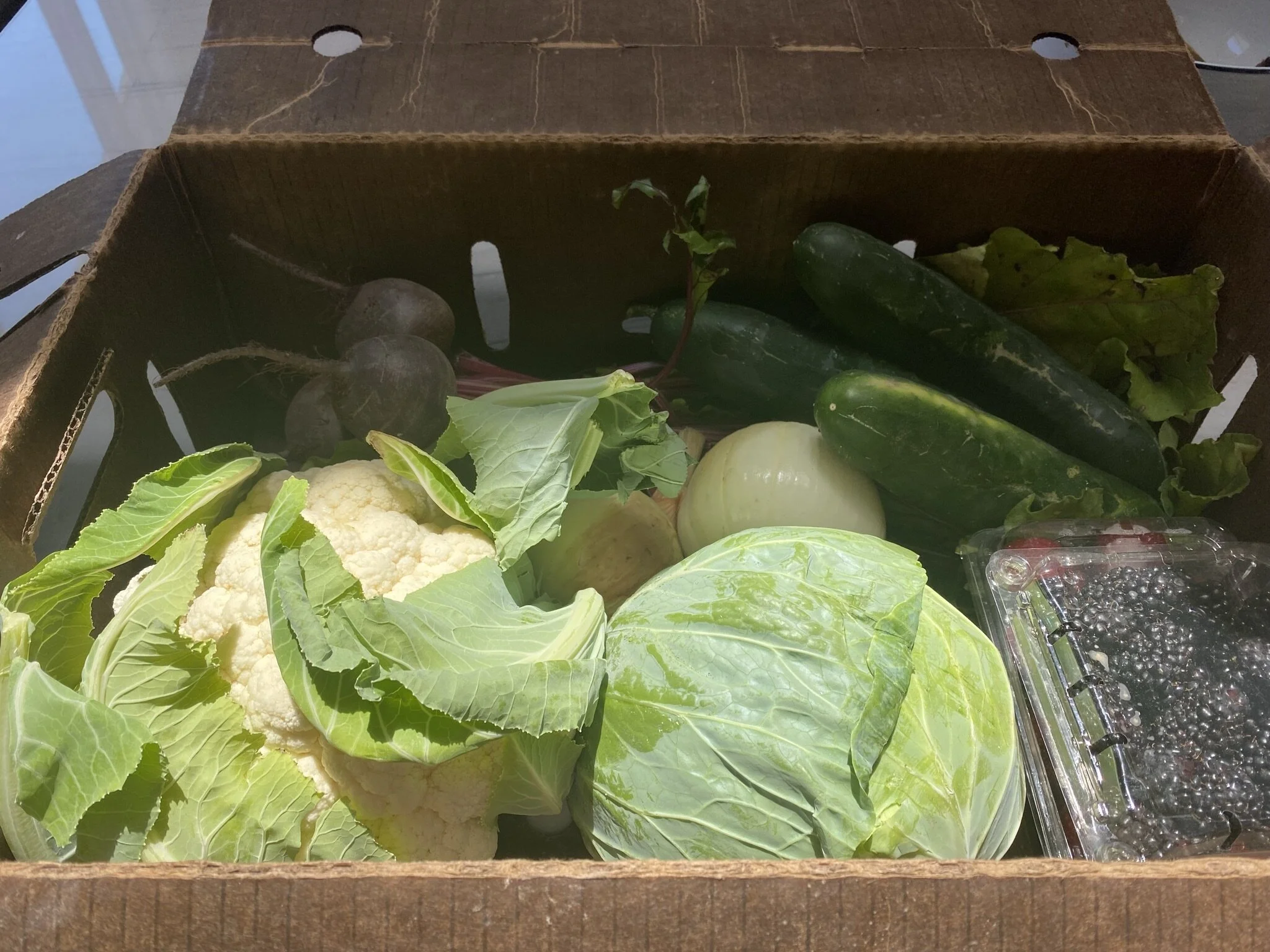 This week's box of delicious locally-grown produce