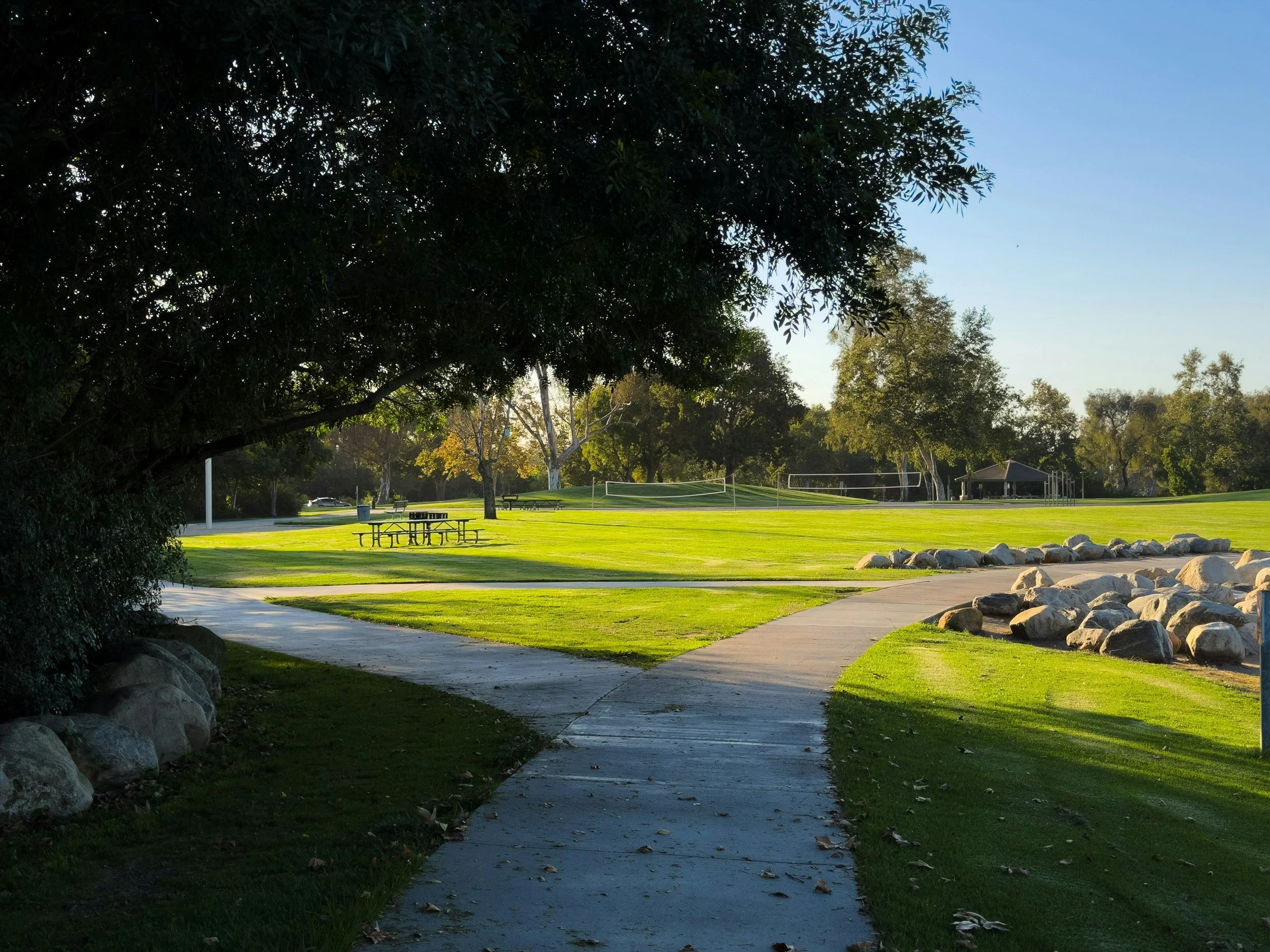 Irvine’s Electoral Fork in the Road: Understanding Measure D