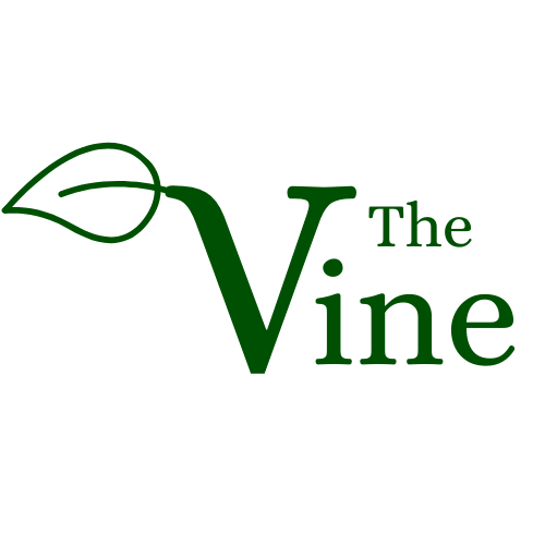 The Vine