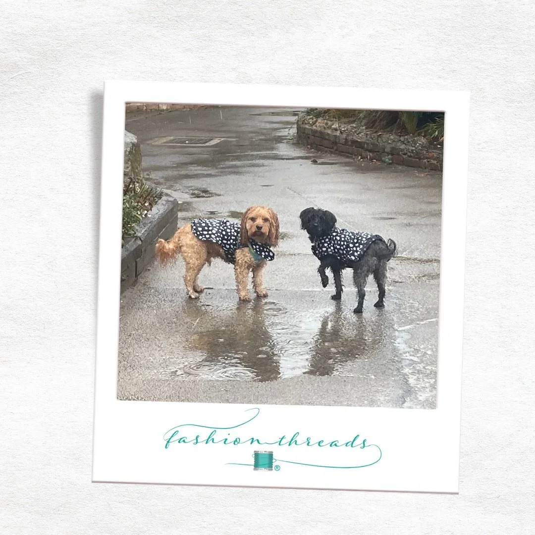 Meet Fashion Threads assistants&hellip; 🐾🧵

George &amp; Evie, out on duty in Maldon. 🌧️

Excellent security team.

Their other responsibilities include quality control, studio supervision and sleeping on the job.

#fashionthreadsltd #fashionbusin