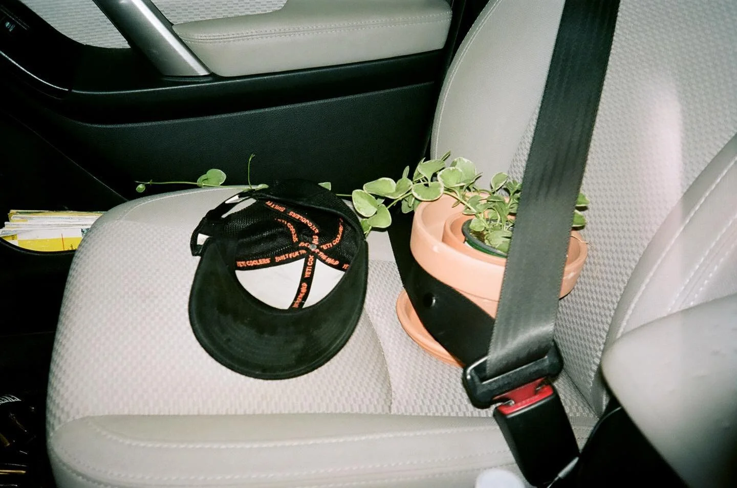 Enjoying the passage of time
-
-
 #filmwave #kodak #olympusmjuii #woahdude #35mm #film