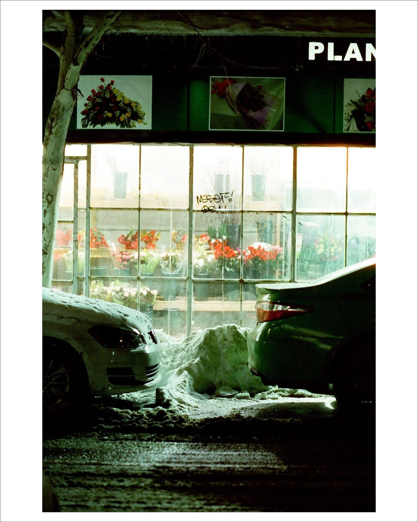 Plan for the burnout, it just happens
-
-
-
#filmwave #kodak #35mm #nyc  #streetphotography #woahdude #film #filmisnotdead