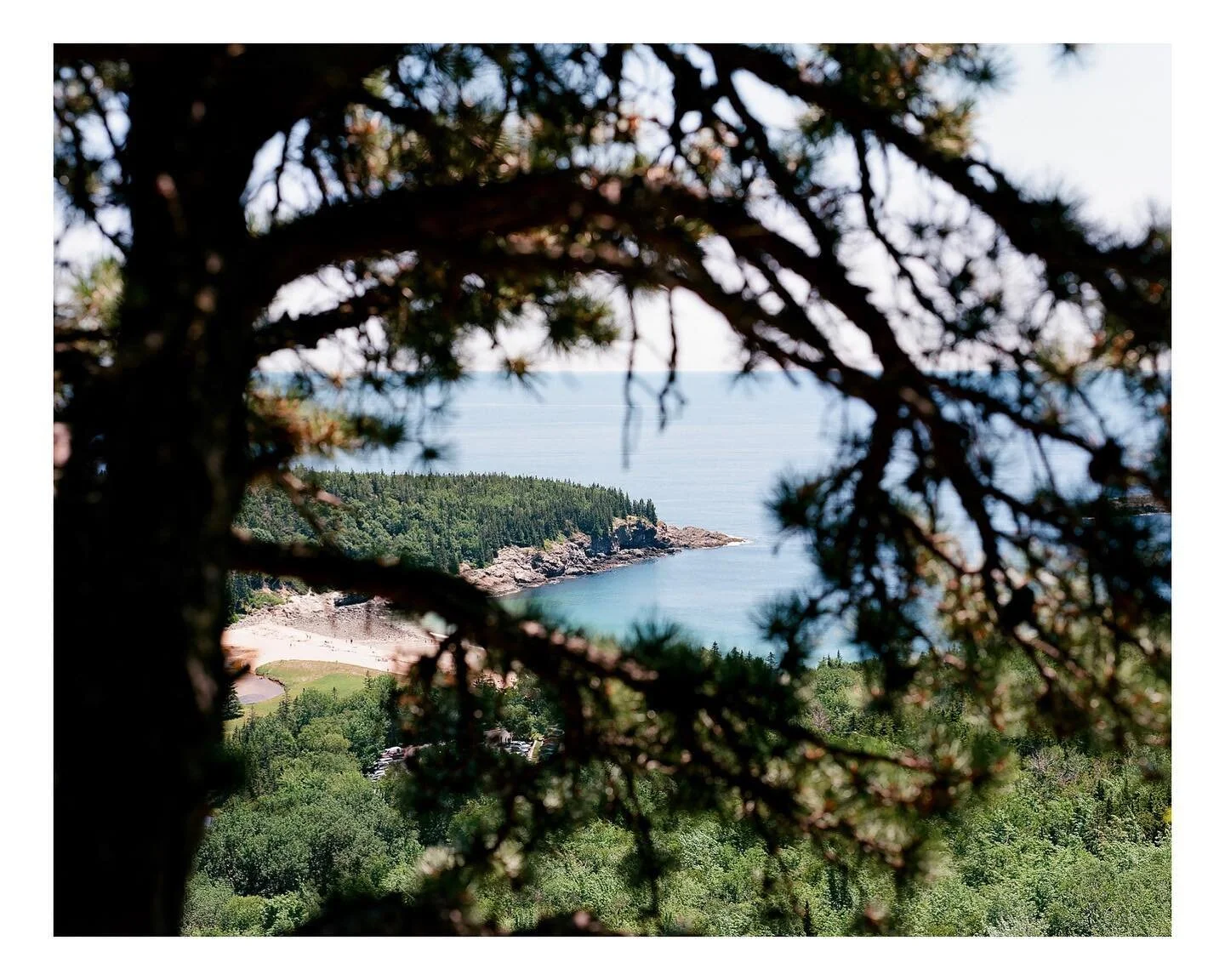 Shots like these make traveling with the Pentax worth it 
-
-
-
-#filmwave #npfilm #woahdude #pentax67 #120film #ektar100 #madewithkodak