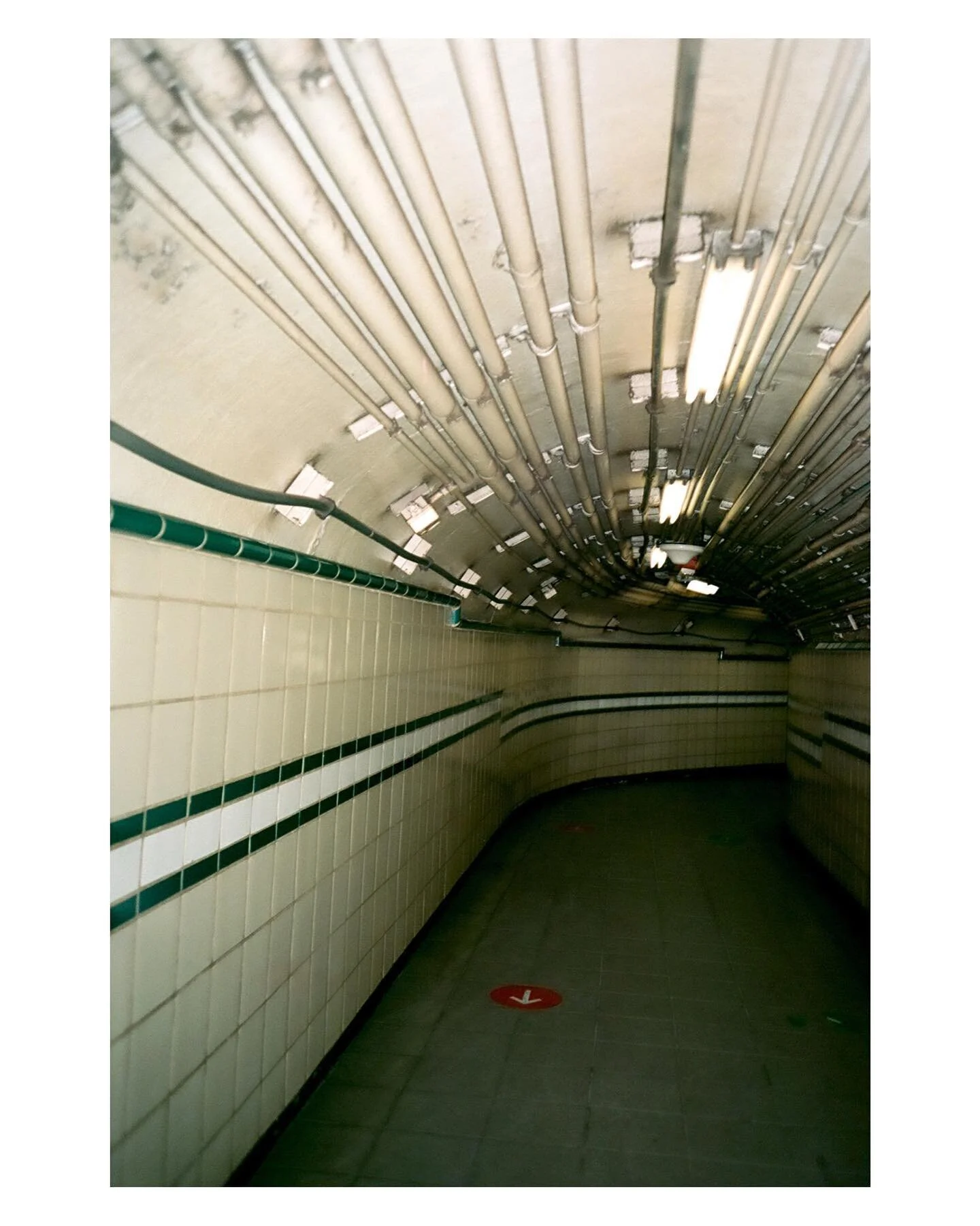 Lost and Found 
-
-
-#filmwave #35mm #olympusmju  #woahdude #nyc #kodak  #subwaysurfers