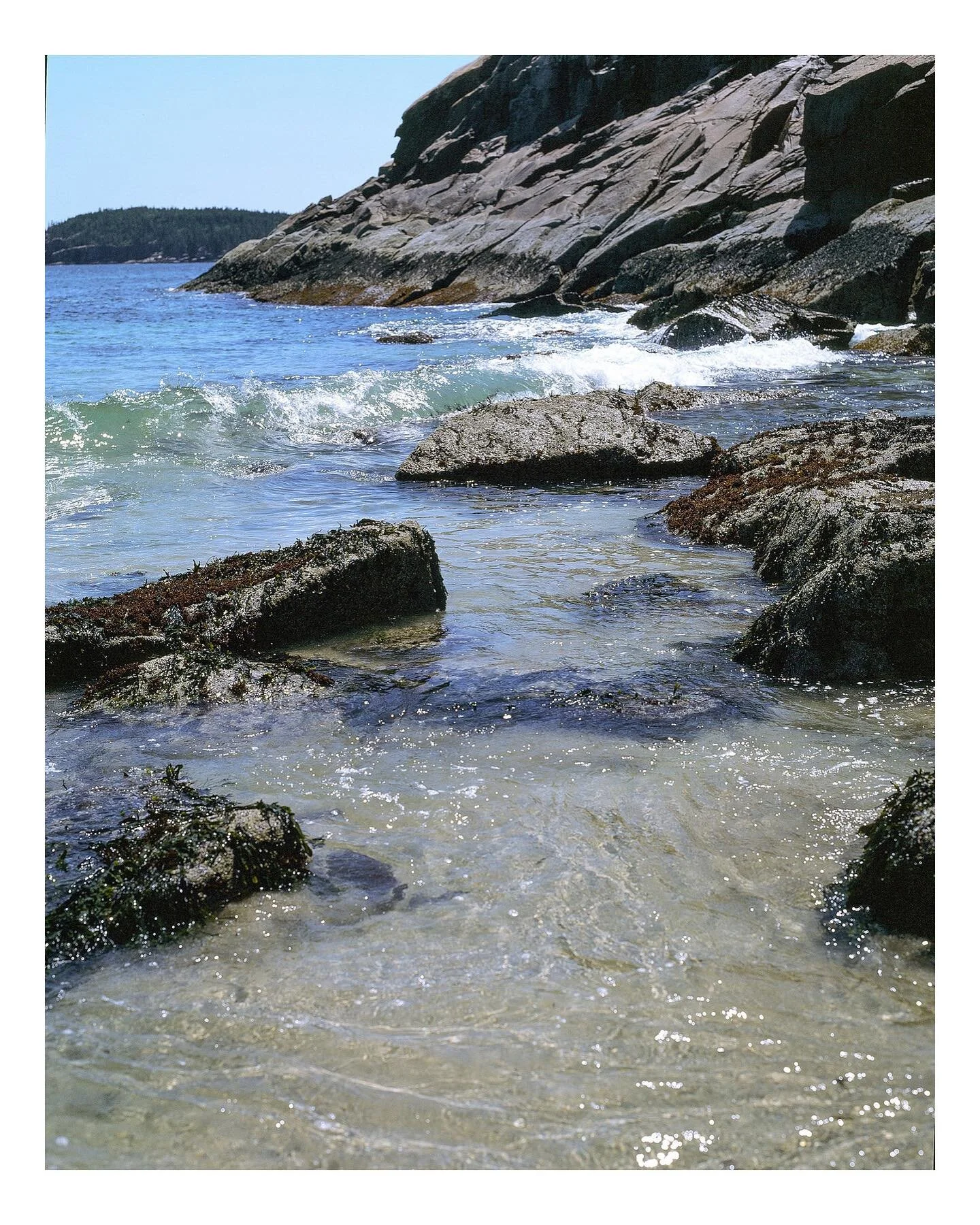 Film cameras and Sand. An age old battle. 
-
-
-
#filmwave #kodak #e100 #pentax67 #mediumformat #120film #madewithkodak #woahdude #beach