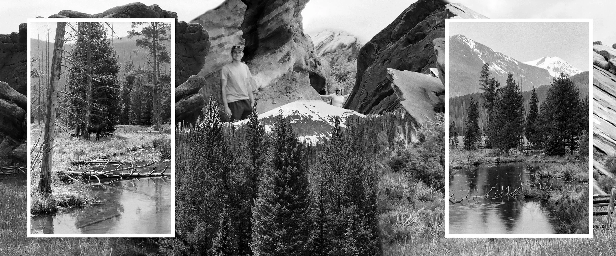 Rado_0000_Layer 1.jpg