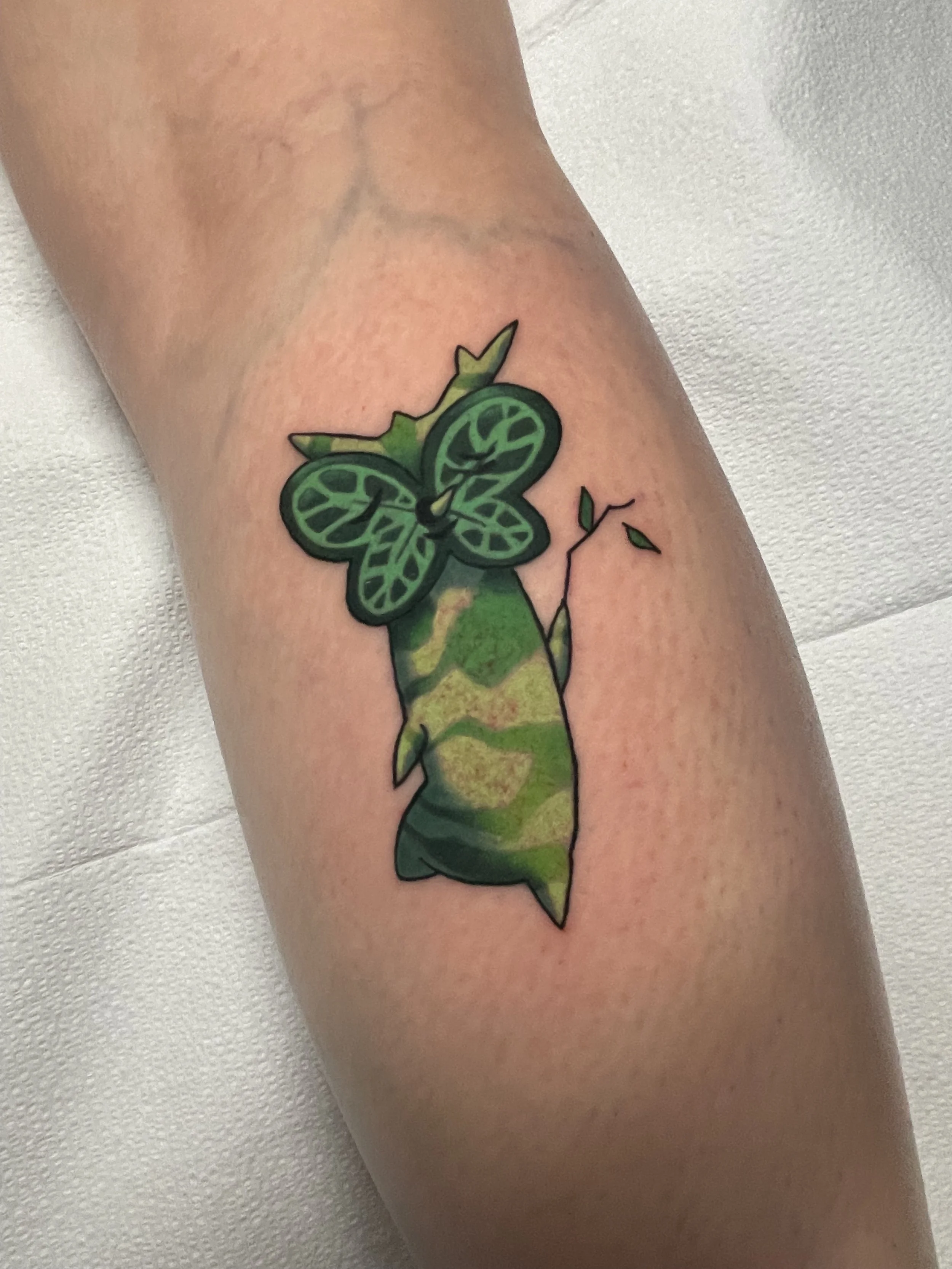 2024 Korok.jpeg