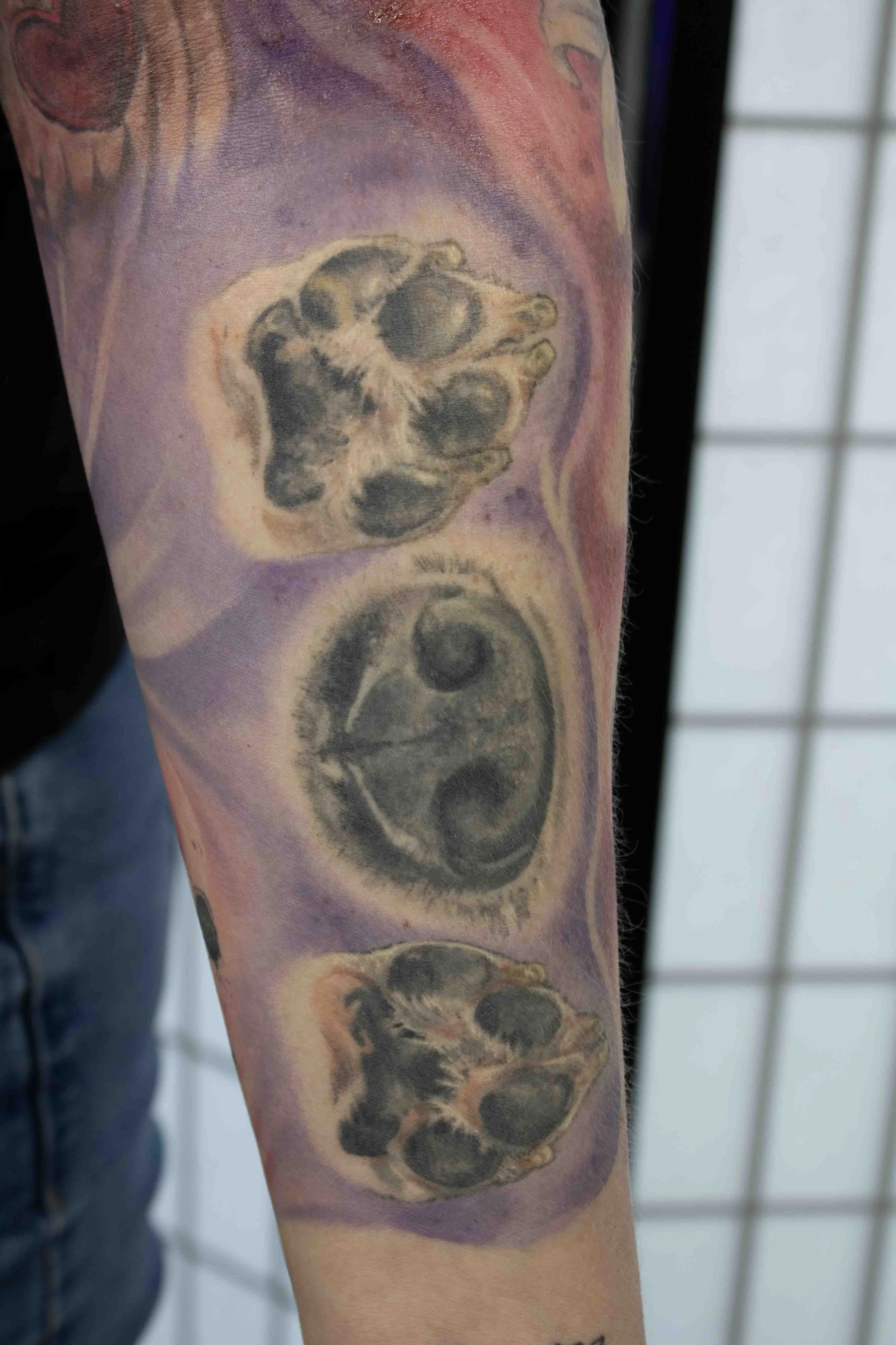 dani_doggies_sleeve-7.jpg