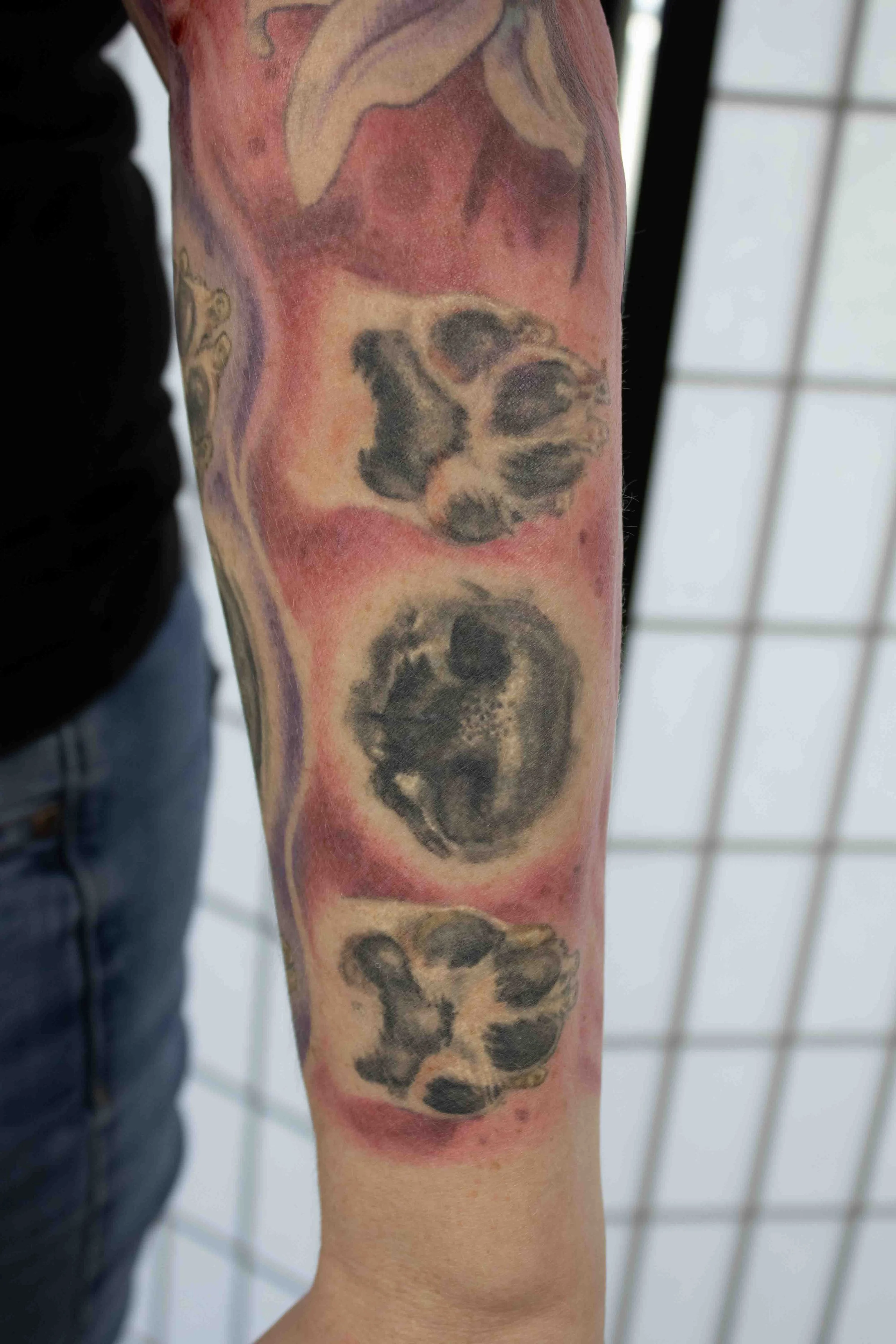 dani_doggies_sleeve-11.jpg