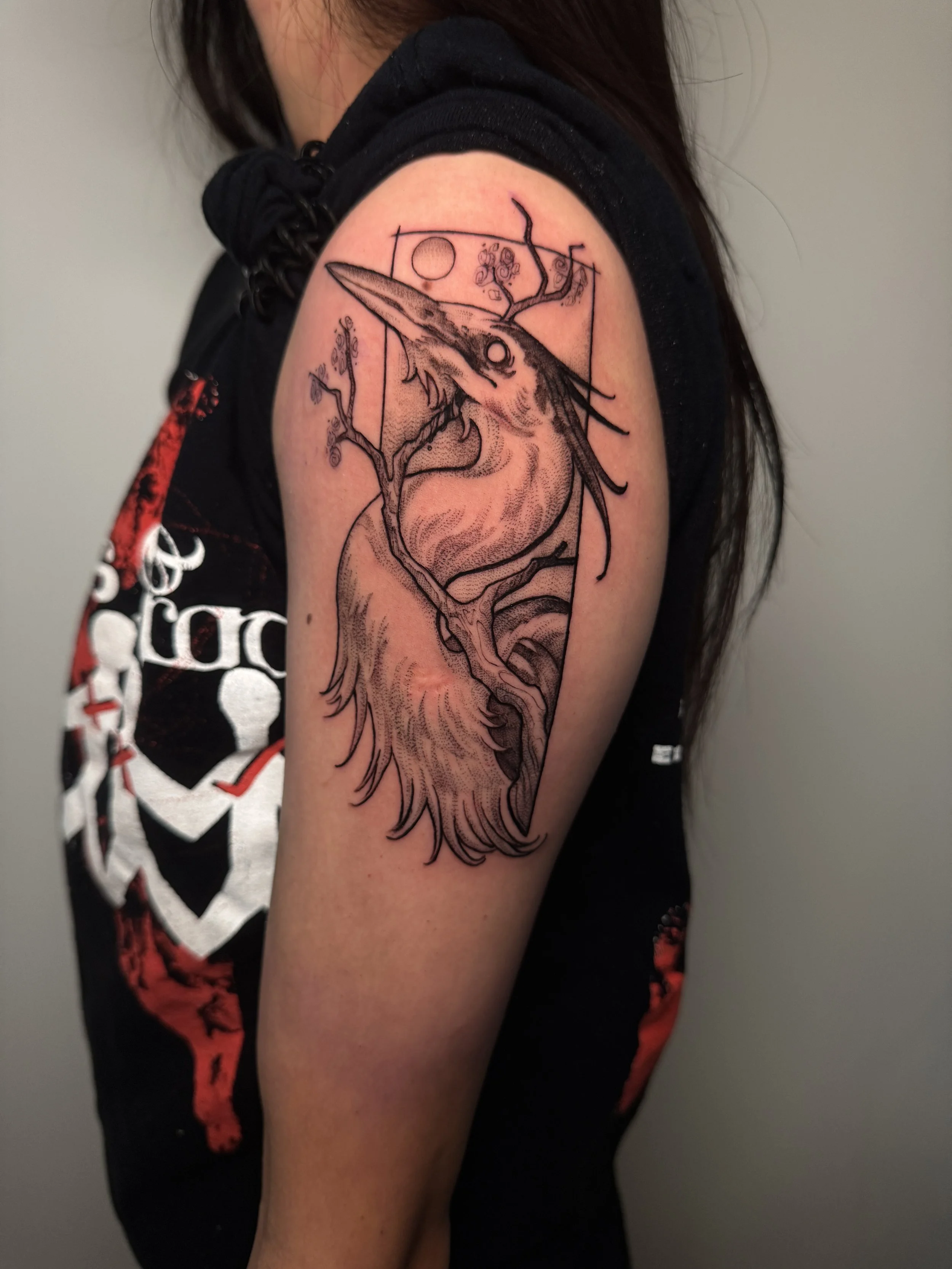 gothic_heron.JPG