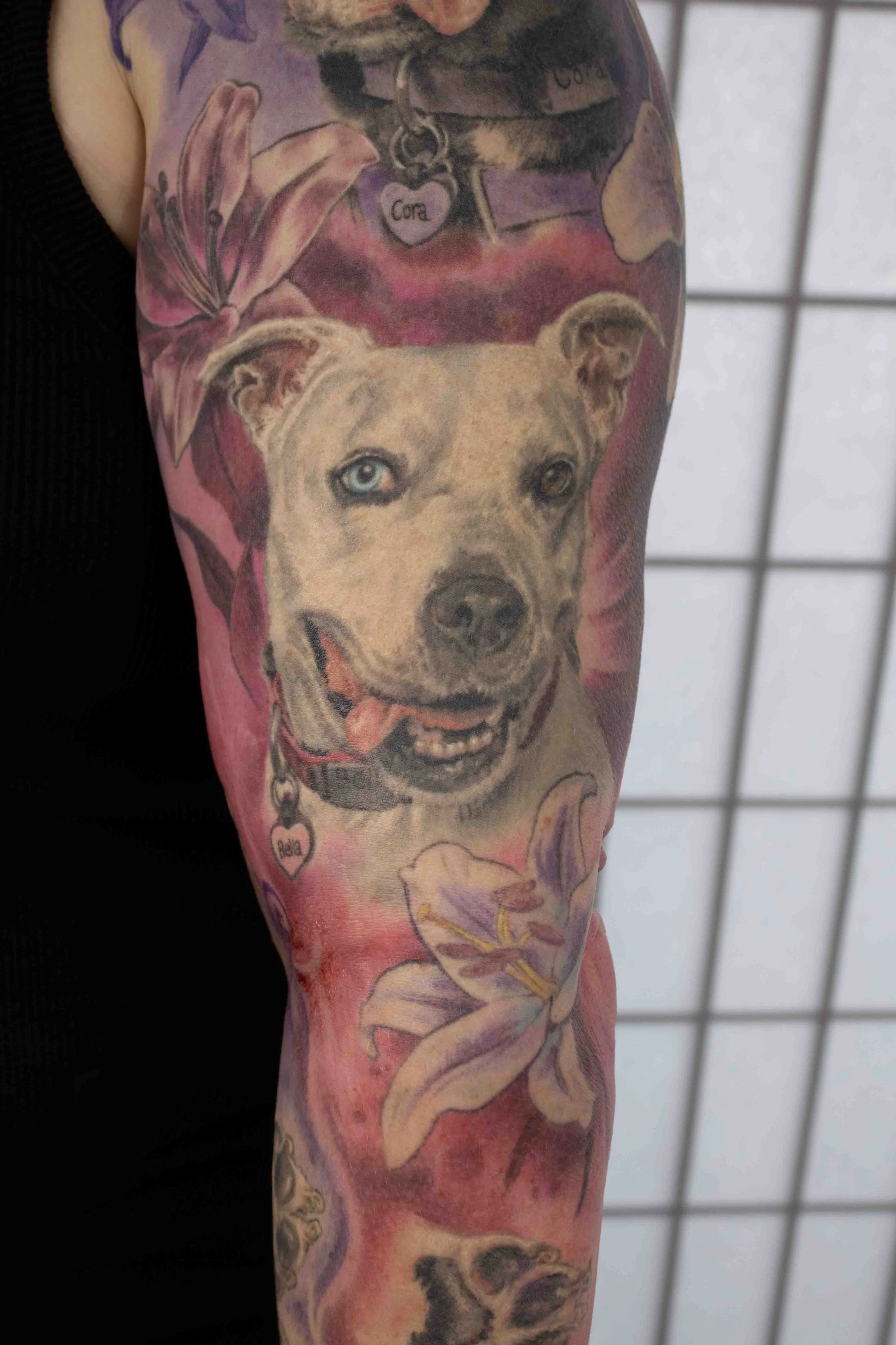 dani_doggies_sleeve-4.jpg