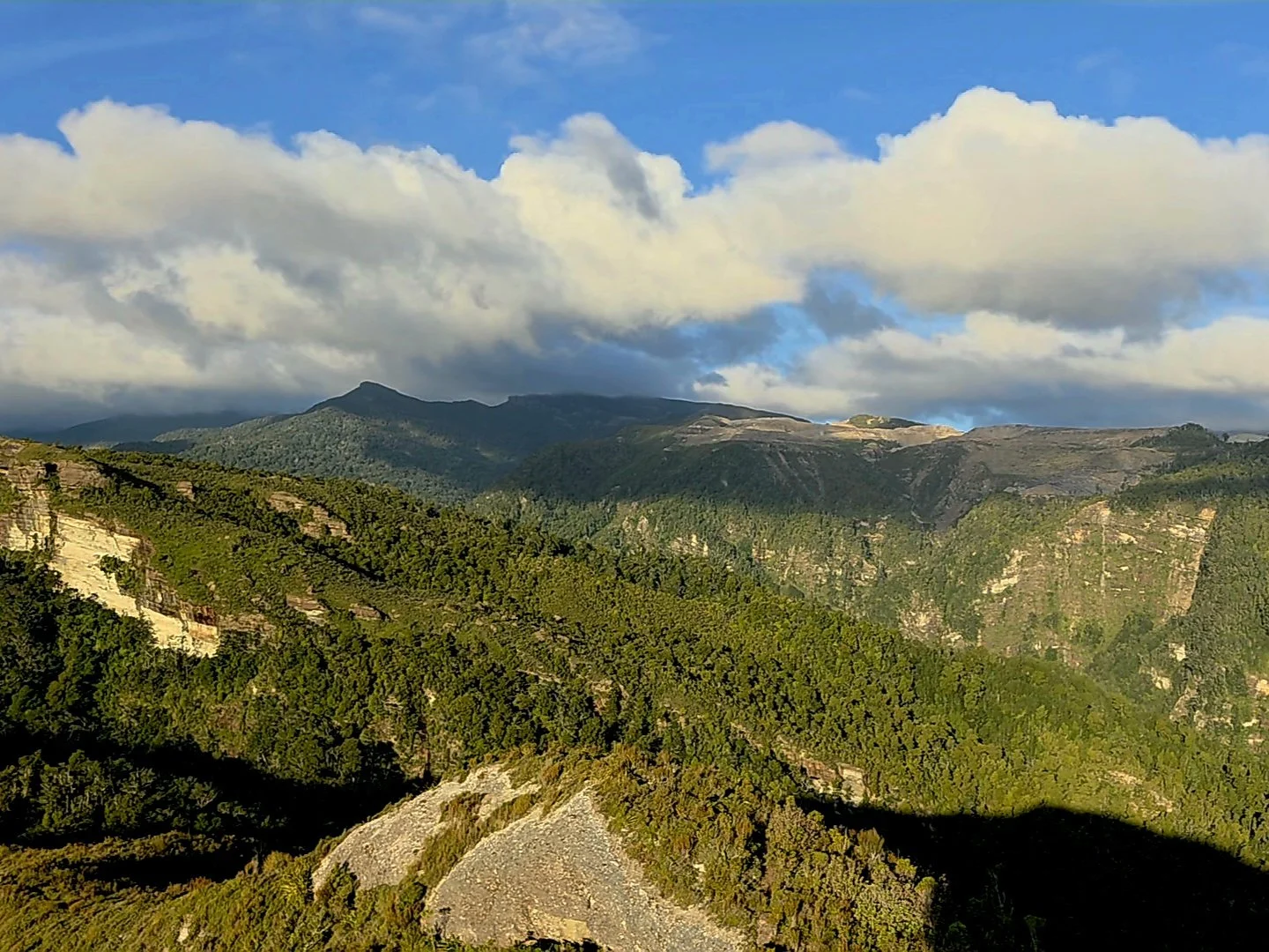 Mount George View