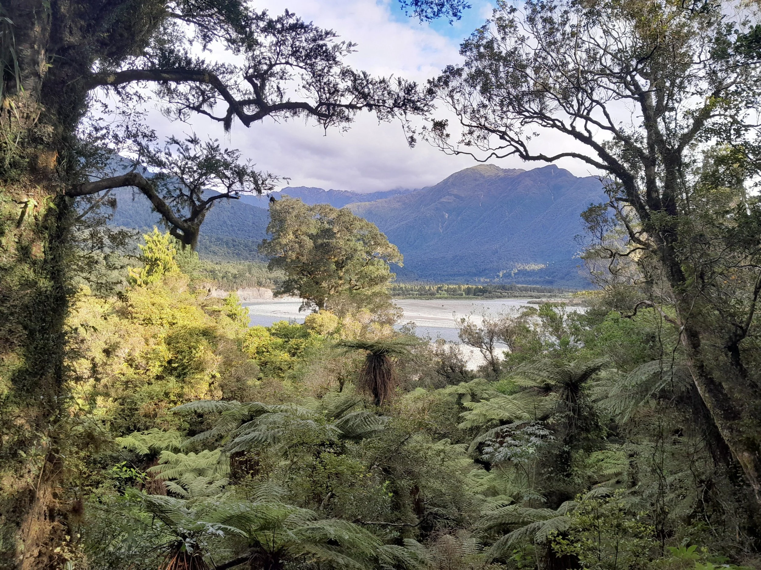 Hokitika Gorge 
