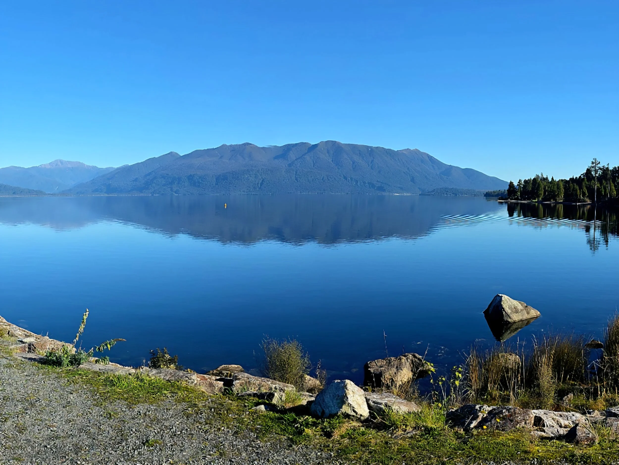 Lake Brunner