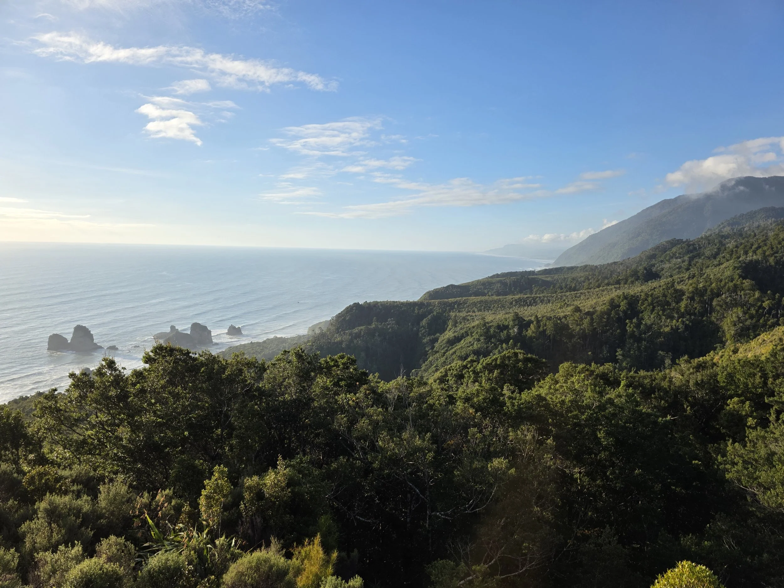 Mount George Track
