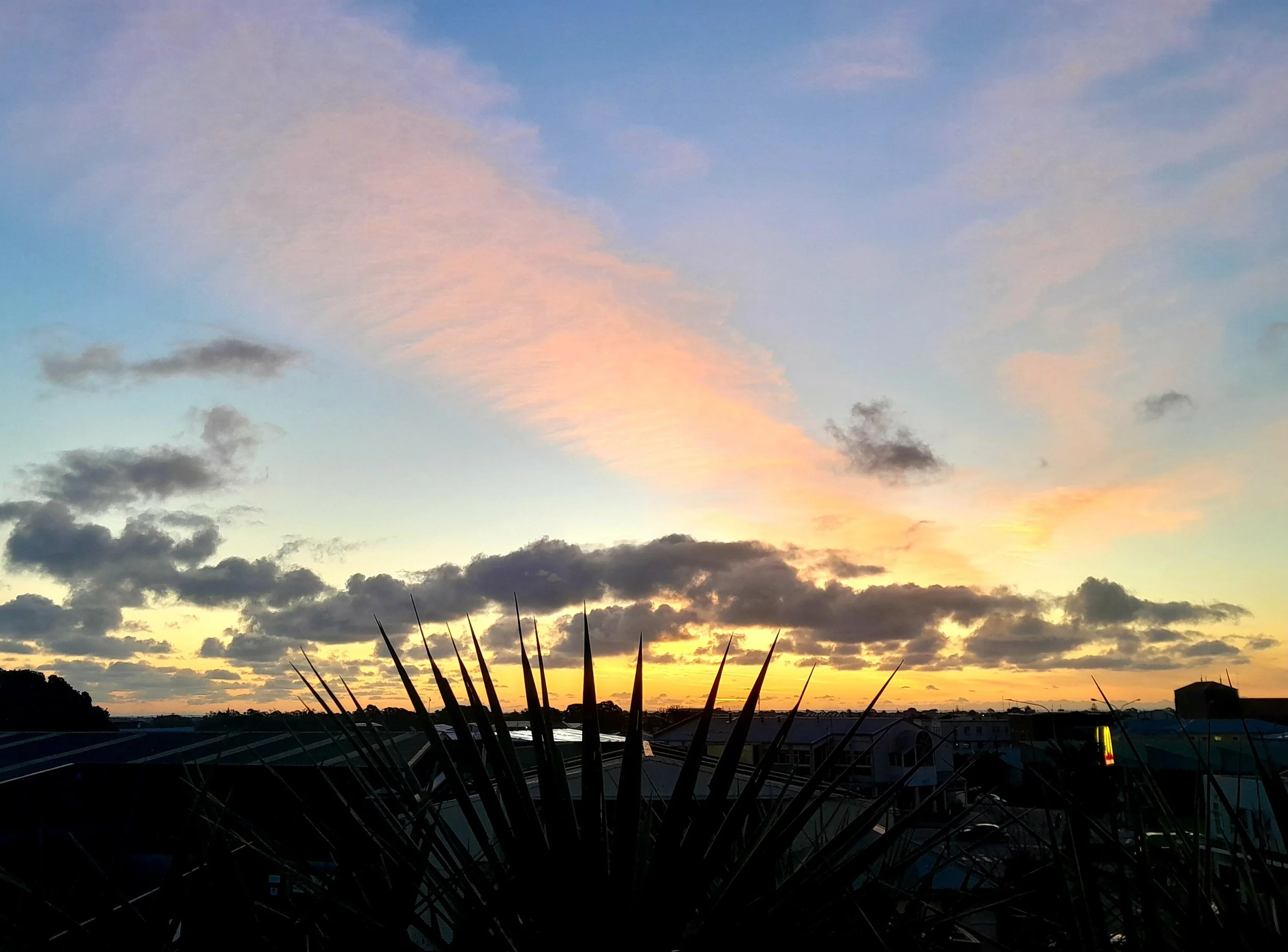 West Coast Sunset from Noah's Ark balcony