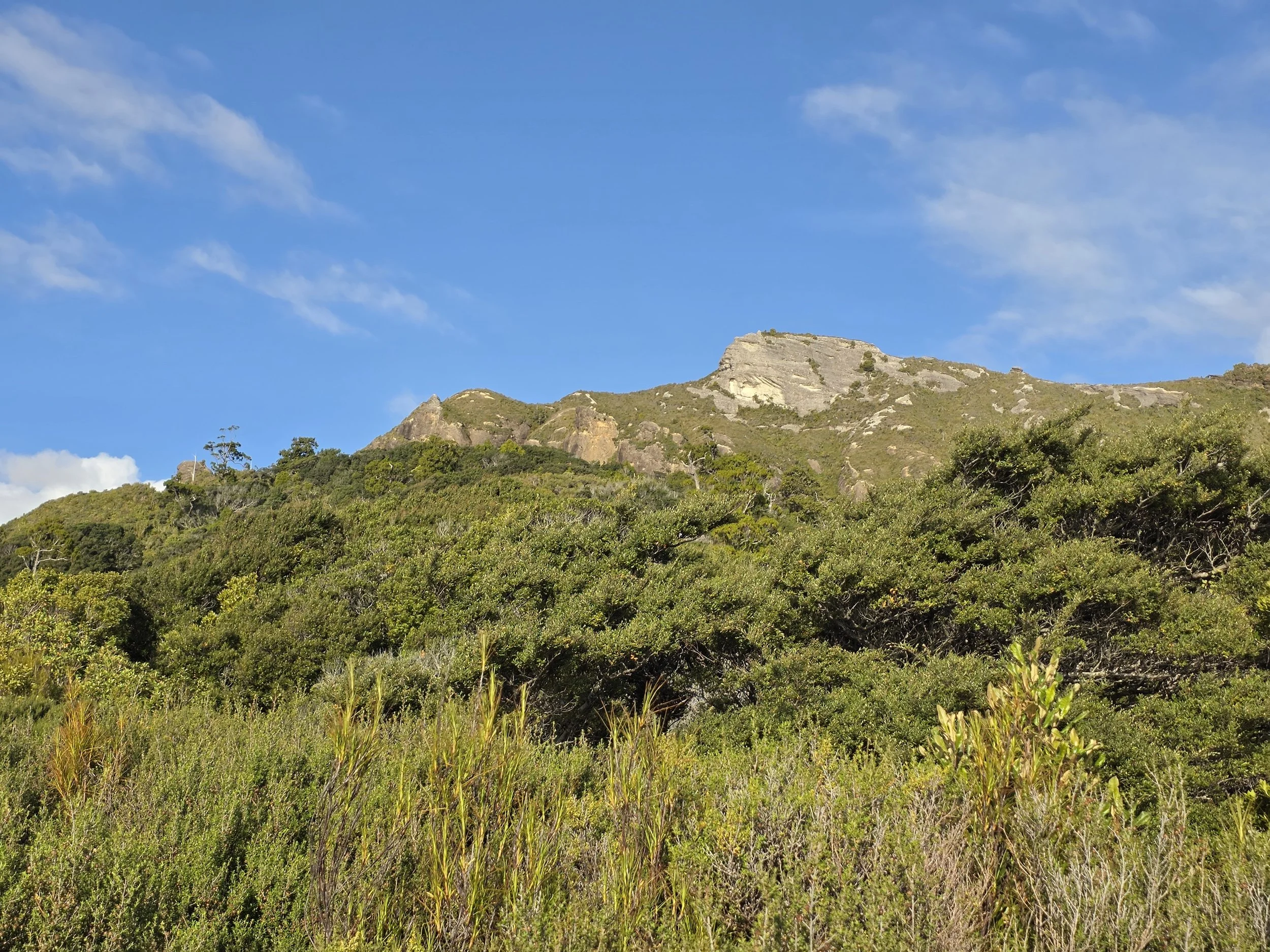 Mount George 