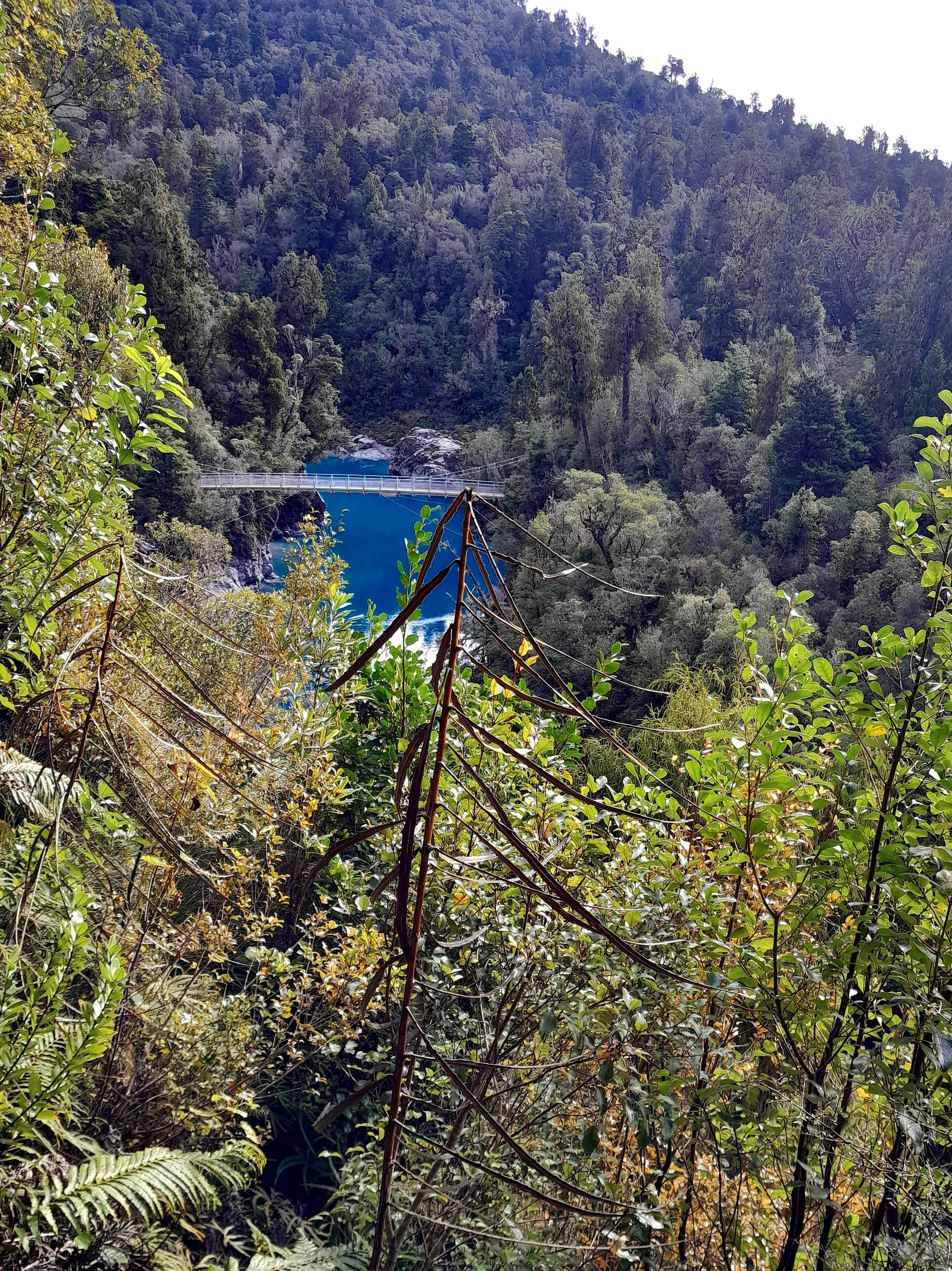Hokitika Gorge 