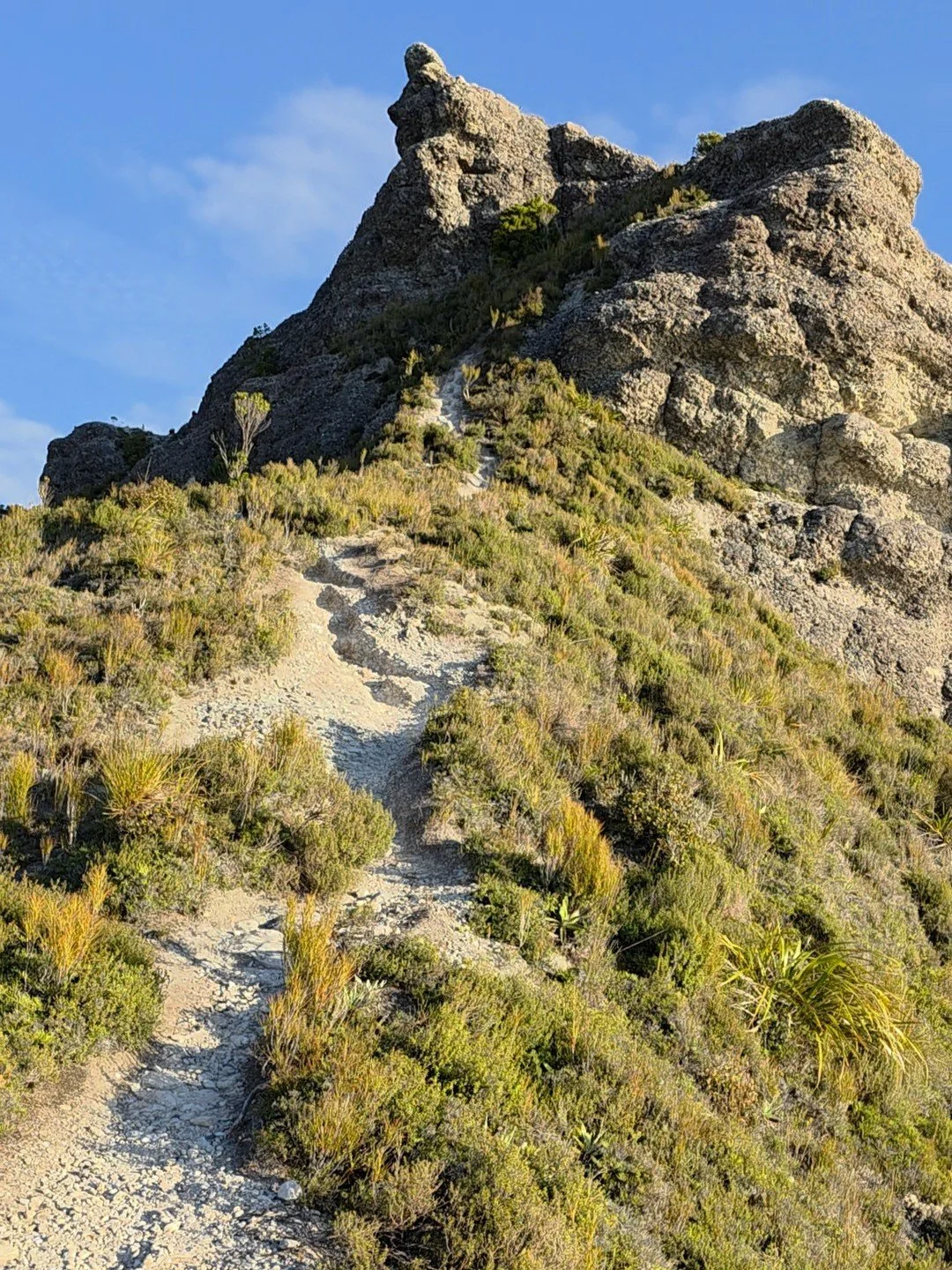 Mount George