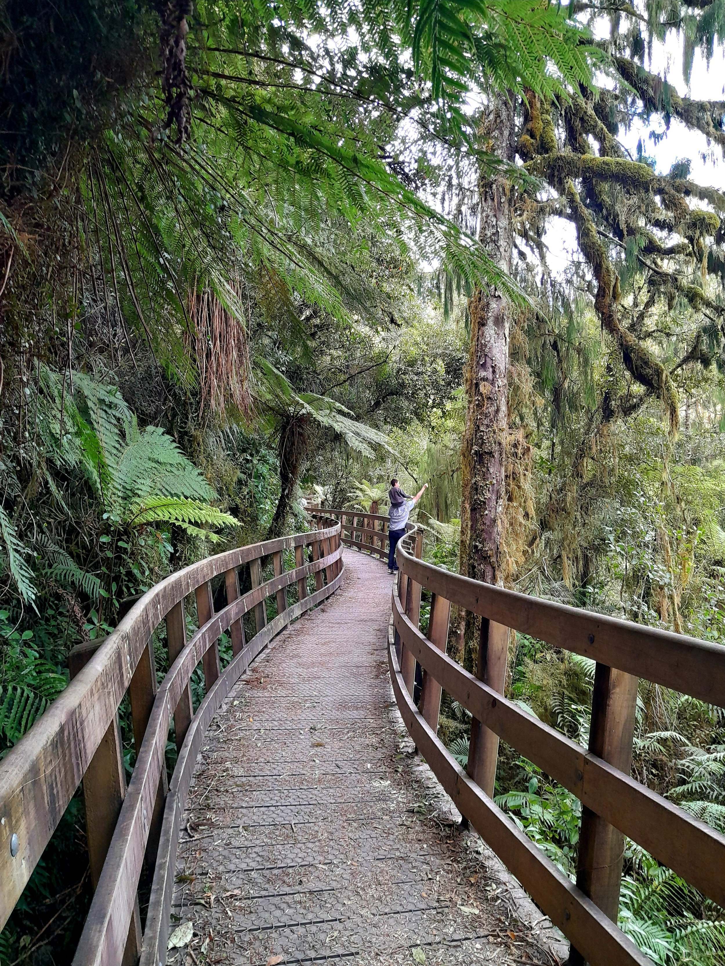 Hokitika Gorge 