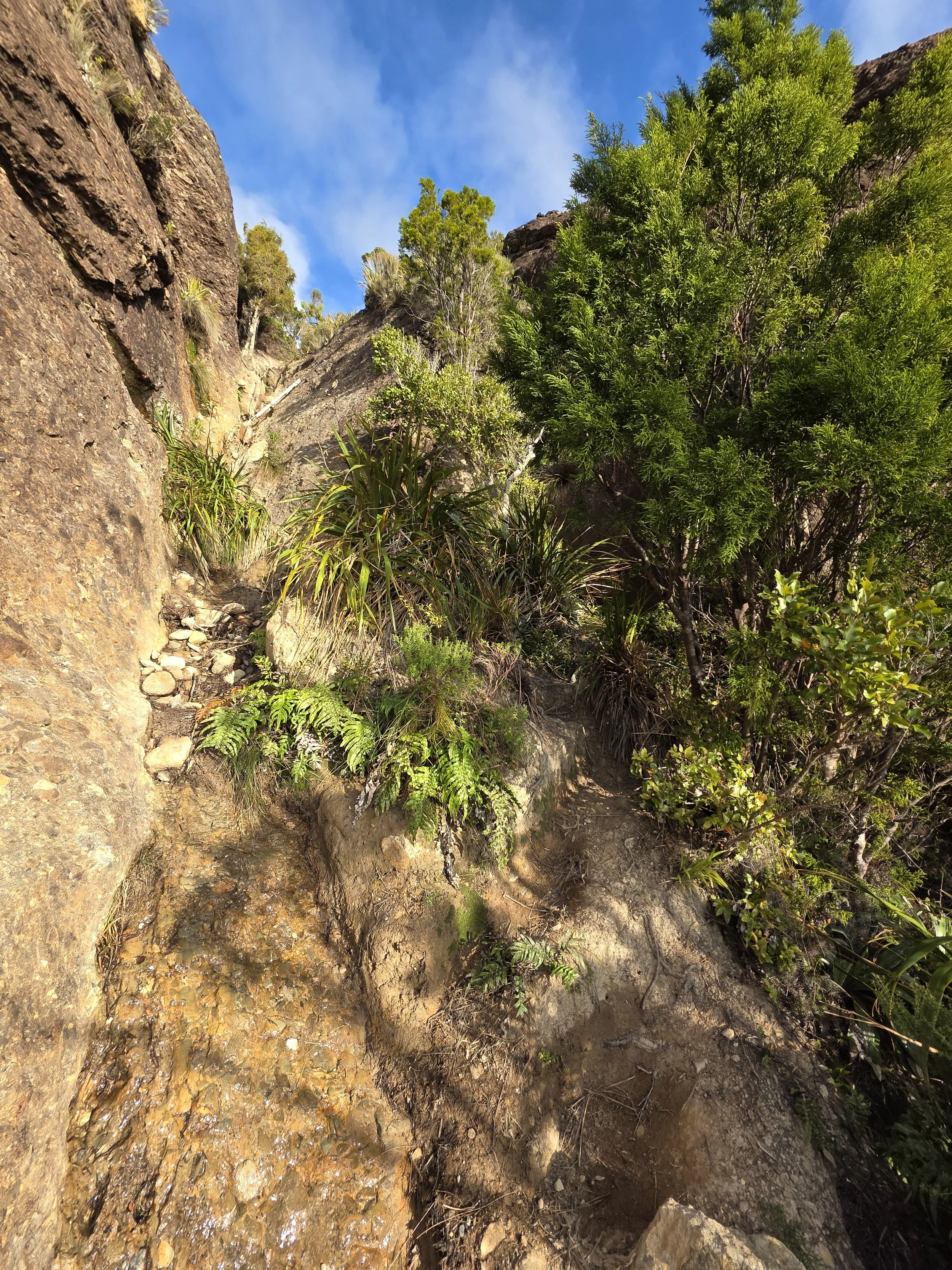Mount George Track