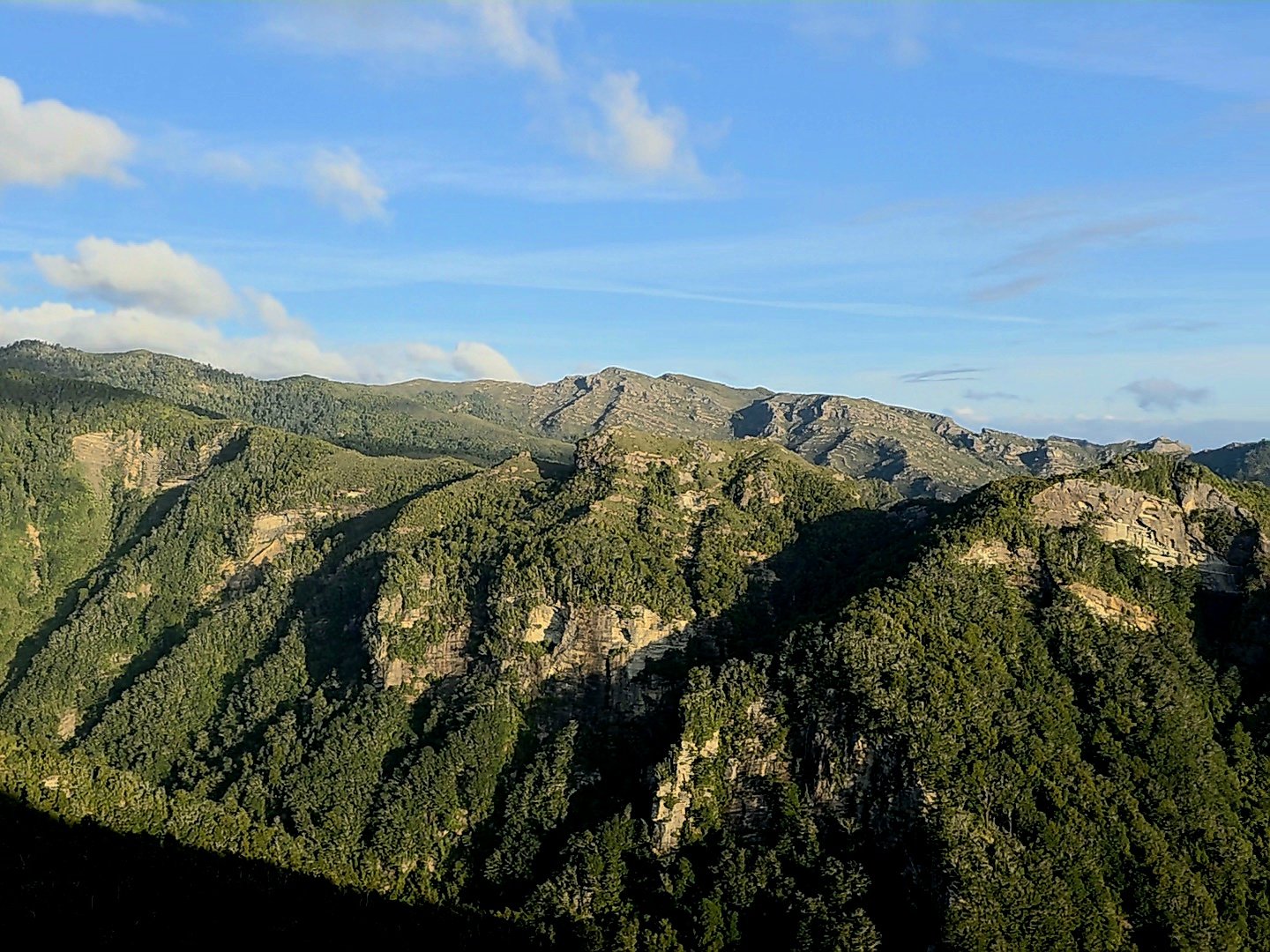 Mount George View