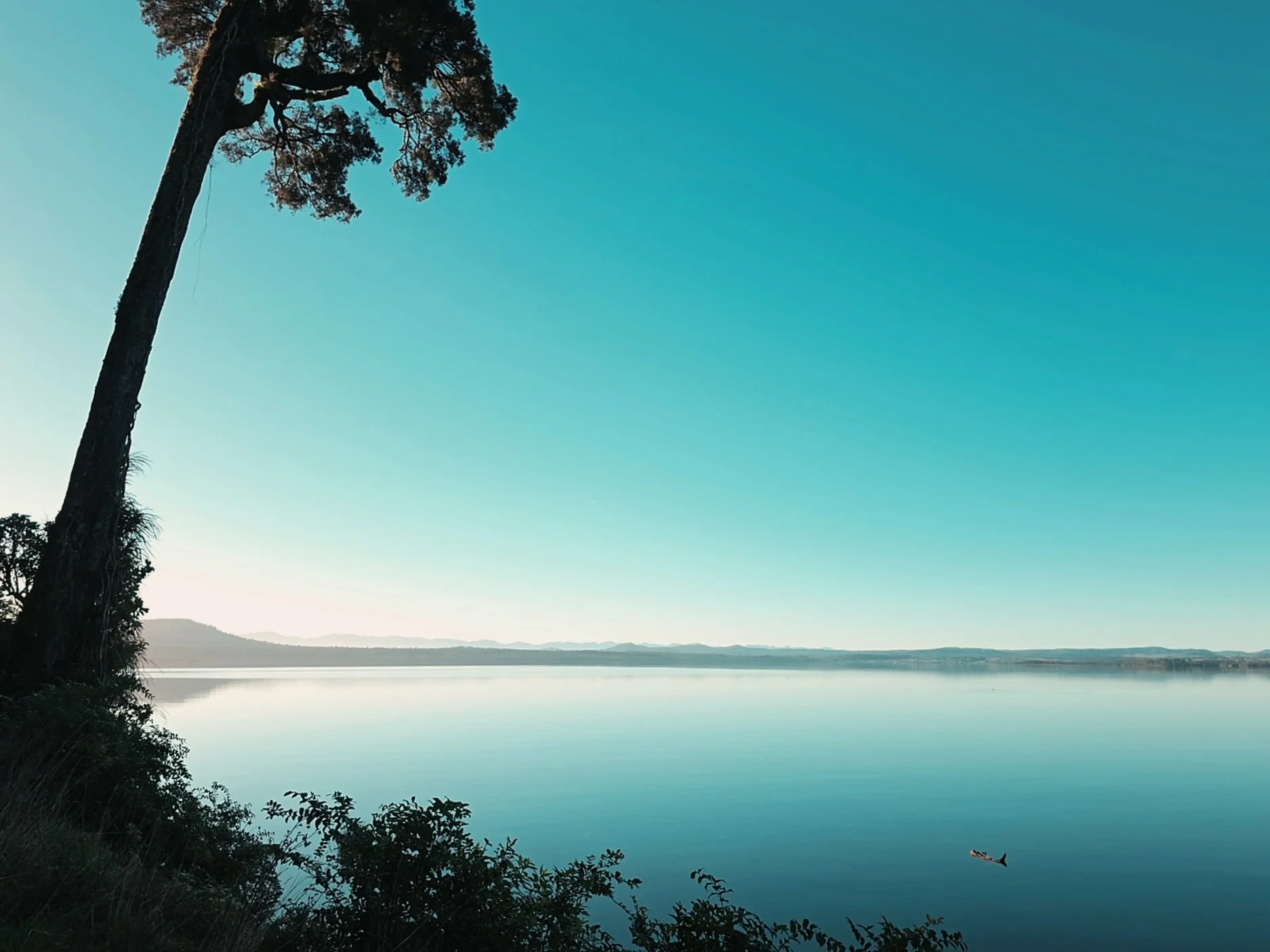 Lake Brunner
