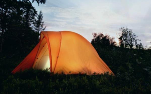 Noah's Ark Flashpacker garden has up to six tent sites available for low budget travelers.