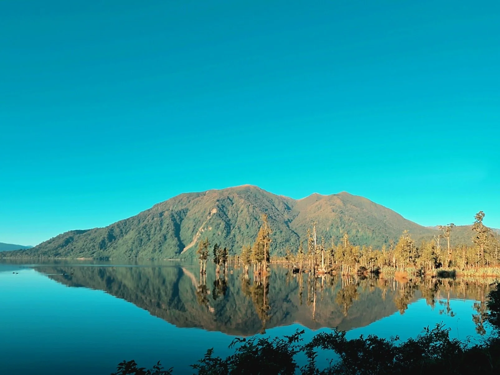 Lake Brunner