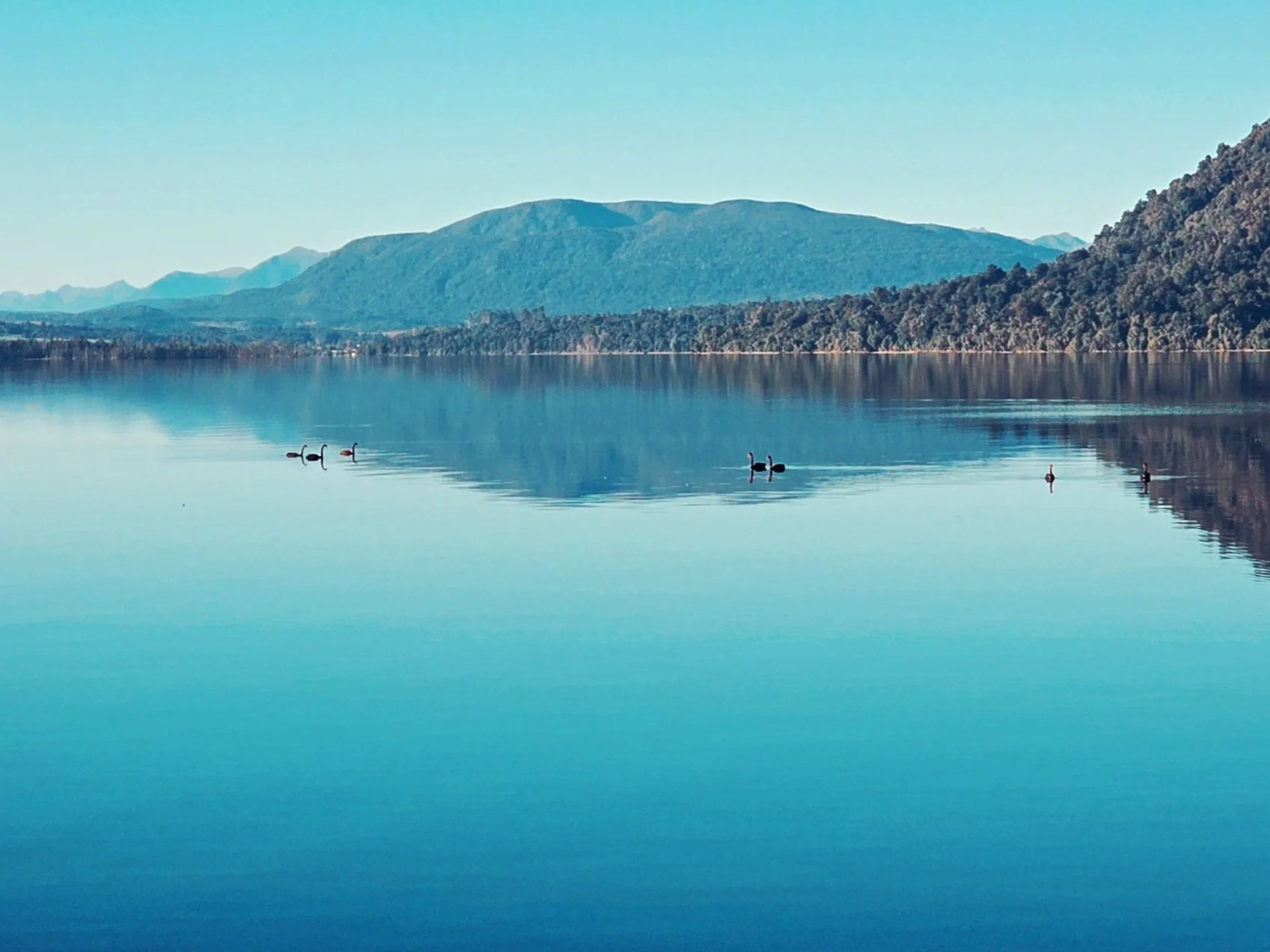 Lake Brunner
