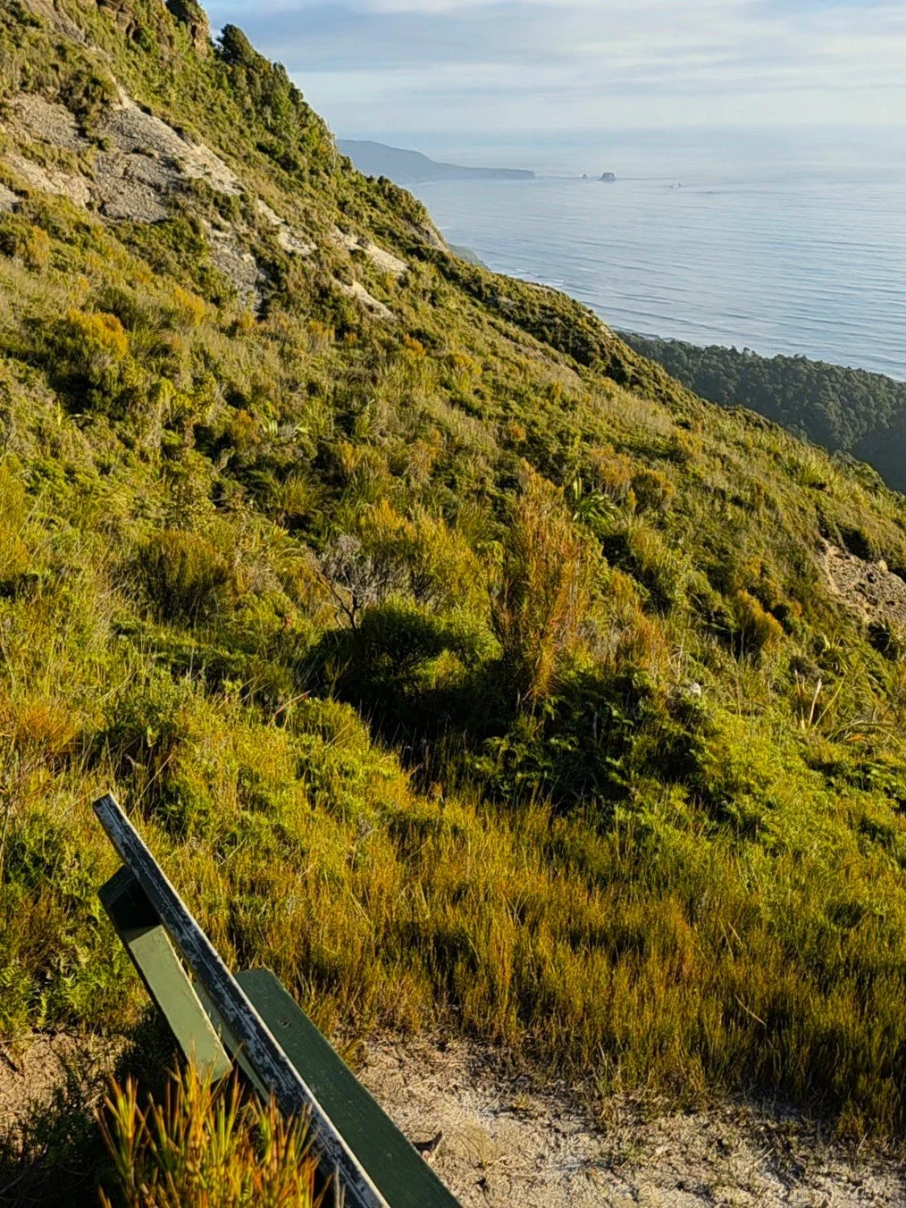 Mount George Track