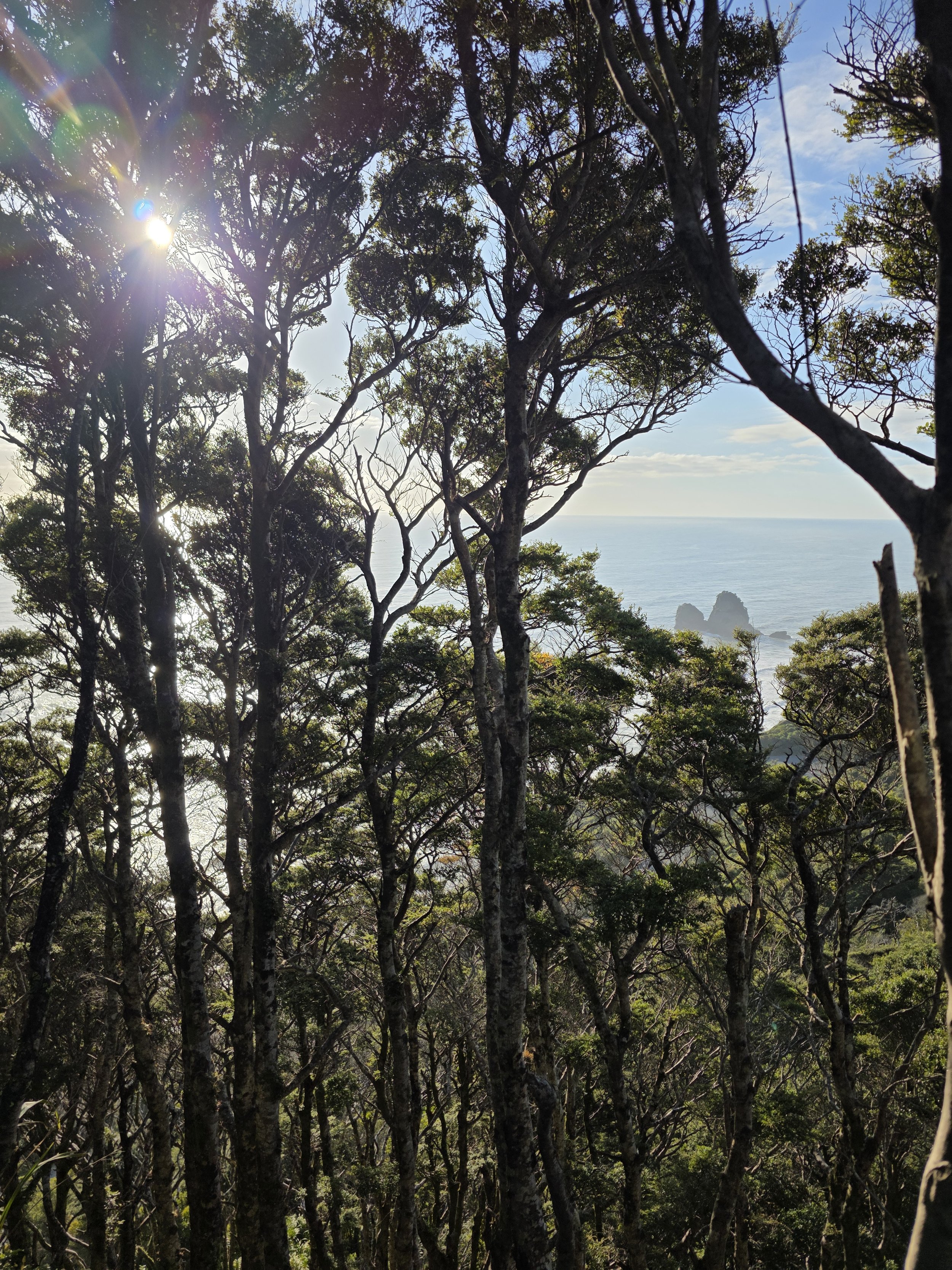 Mount George Track