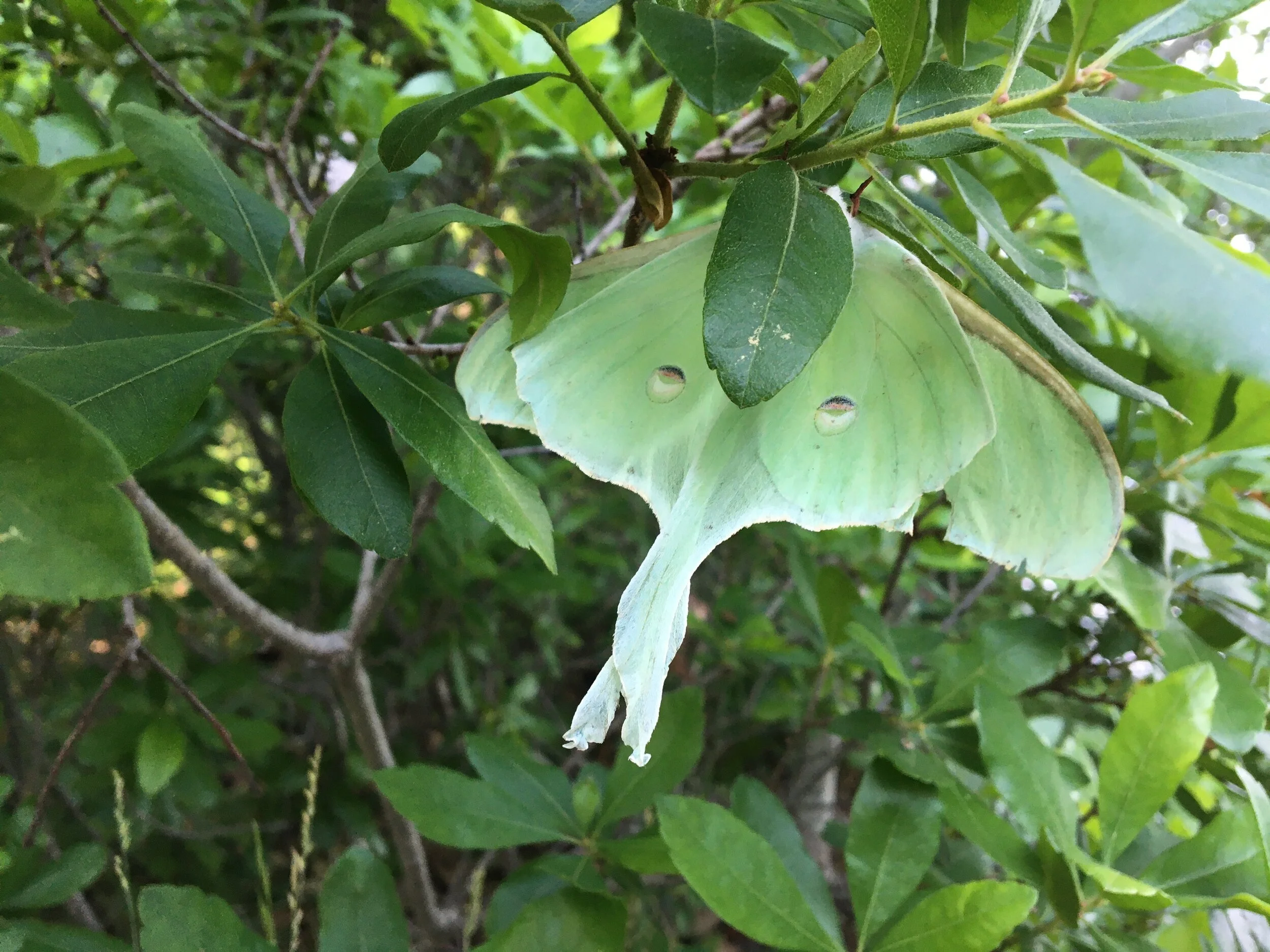 Image by Daniel Hildreth