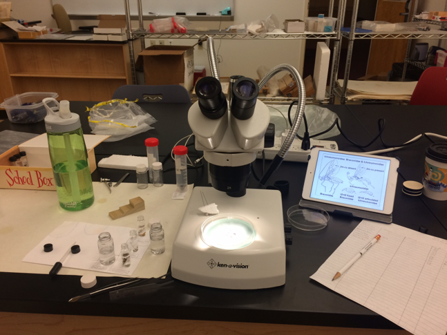 MES Webinar Series: Buying a Microscope Without Losing Your Mind (or Your Money)