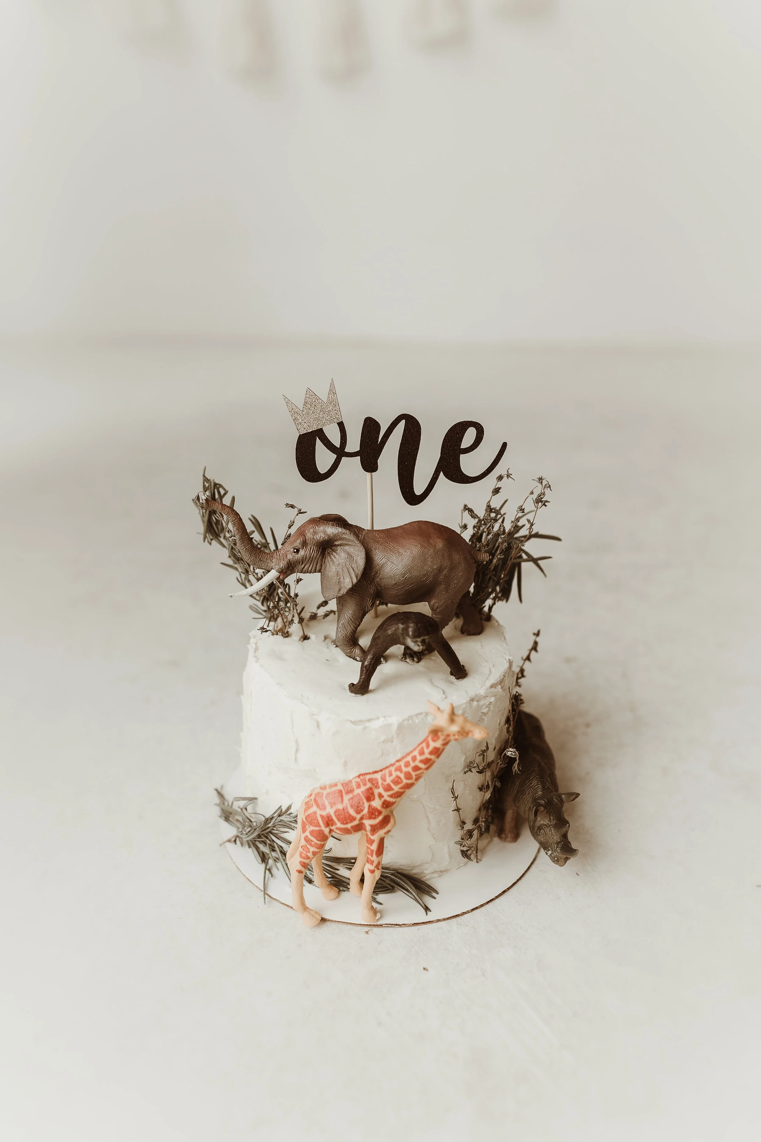 Nicole Leigh Photography (48 of 103).jpg