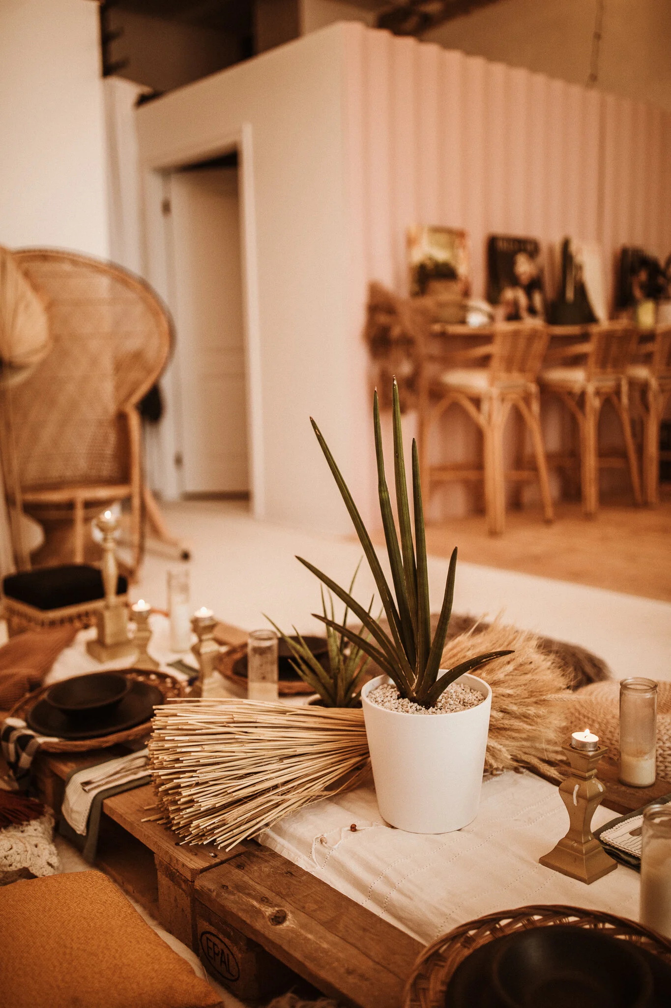 Nicole Leigh Photography (9 of 25).jpg