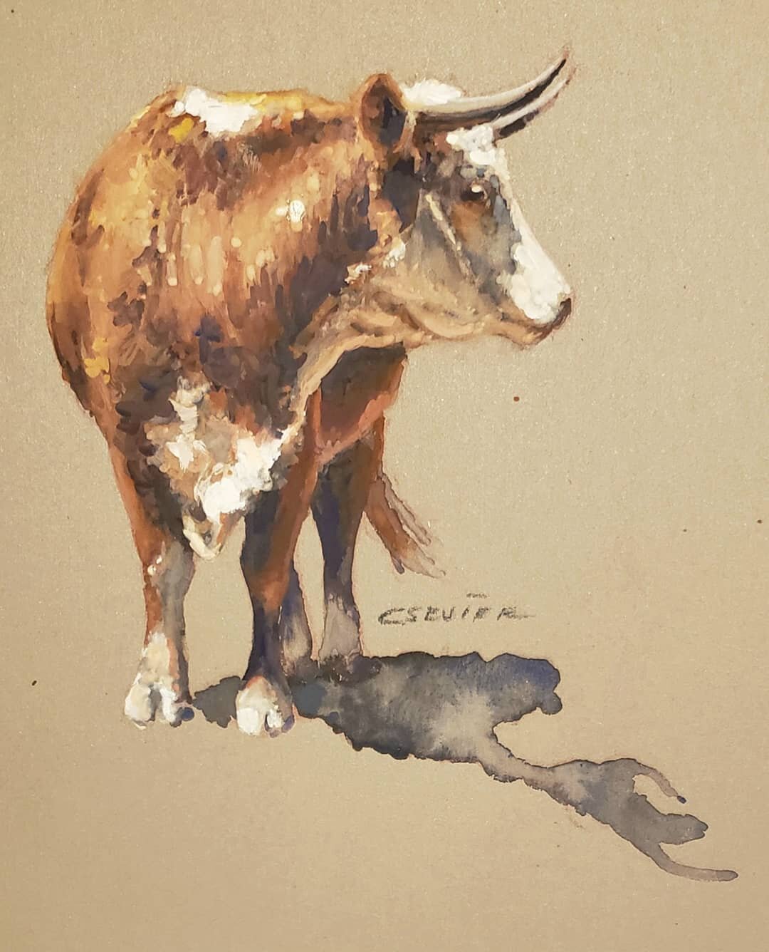 Texas Range Cow

#gouachepainting #chessneysevier #westernart #hornedcow