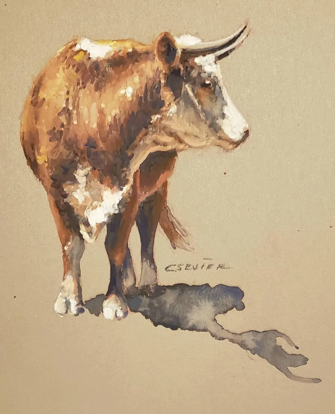 Texas Range Cow
#gouachepainting #chessneysevier #westernart #hornedcow